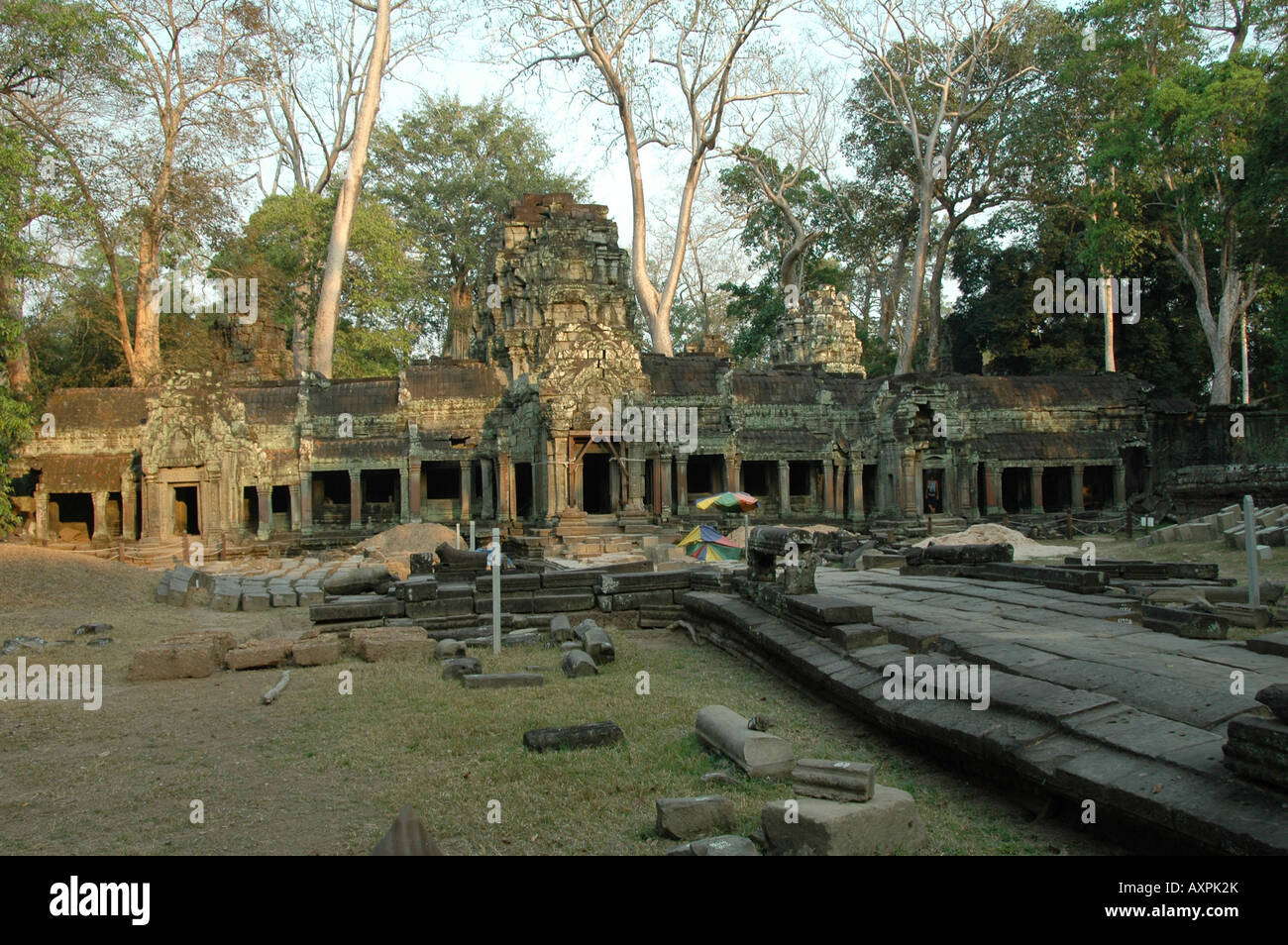 Aperçu de Ta Prohm Temple près de Siem Reap, Cambodge Banque D'Images