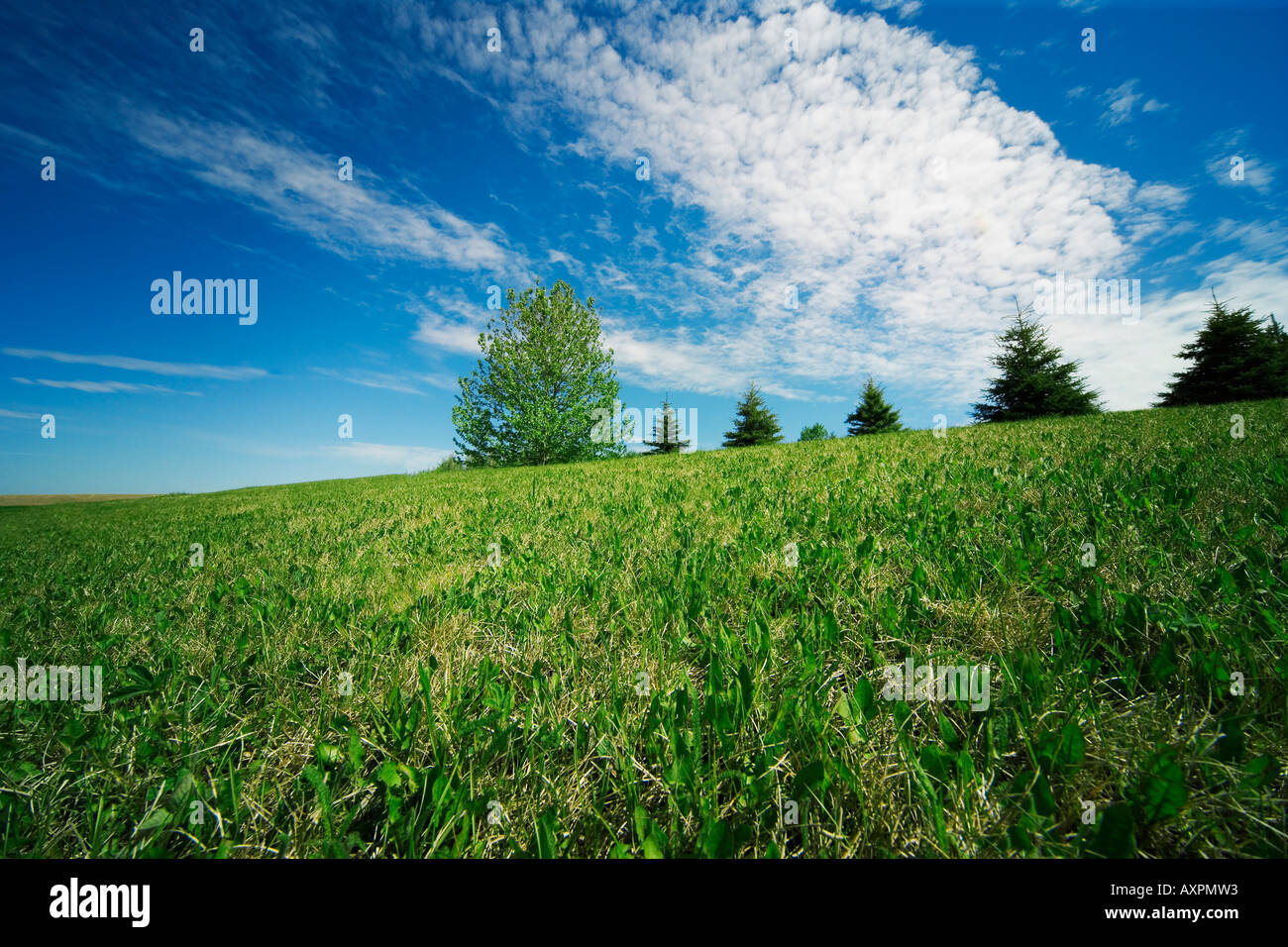 Grands espaces Banque D'Images