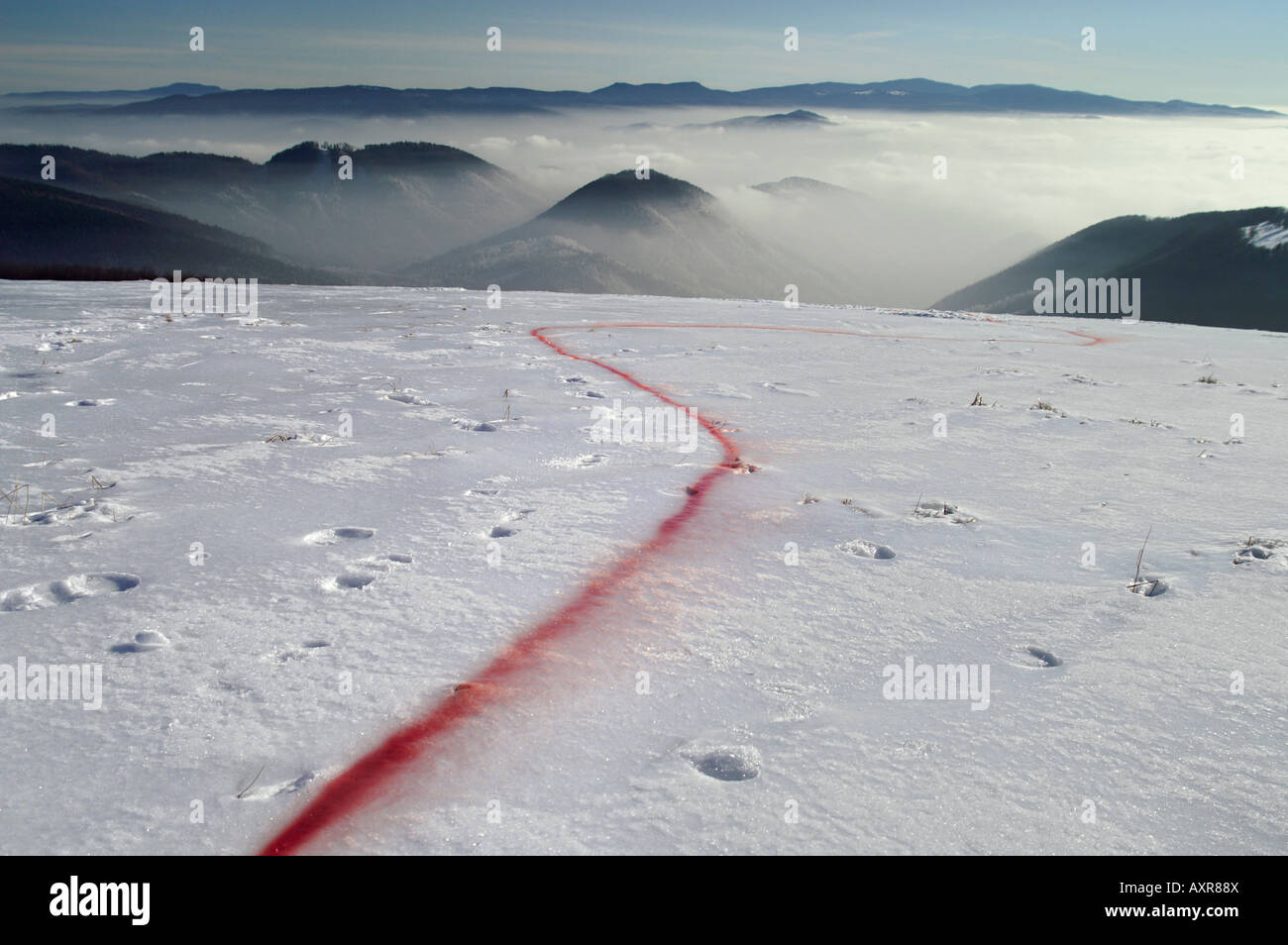 Ligne de pulvérisation de peinture rouge plaine neige mountain land art land-art earthworks, Tatry Slovakia, auteur Tomas Kopecny Banque D'Images