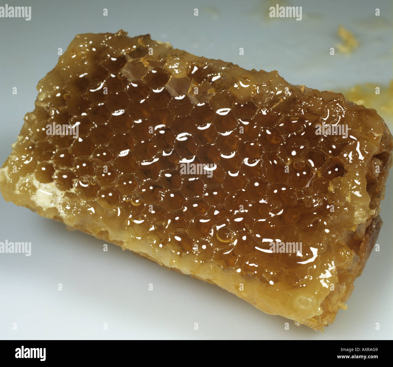Partie d'un rayon à miel d'une ruche d'abeilles Banque D'Images