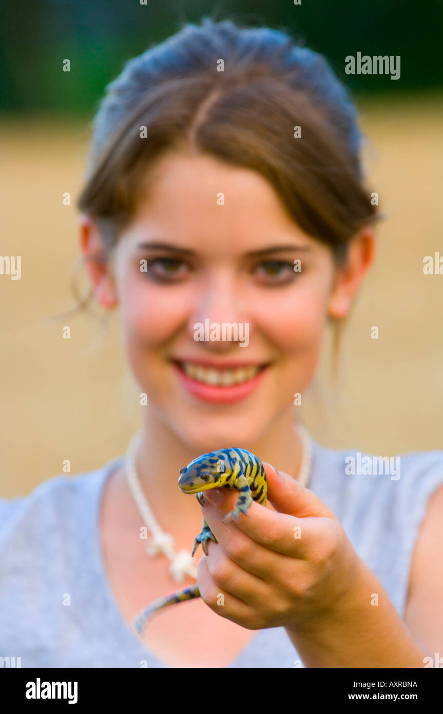 Smiling salamander Banque de photographies et d'images à haute résolution -  Alamy