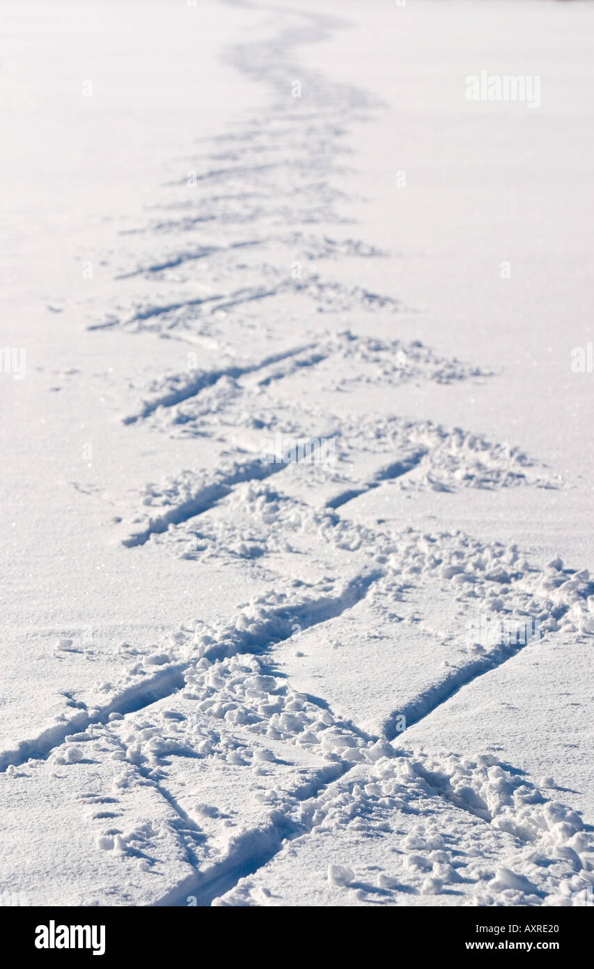 Le ski de fond en utilisant le style de skate a laissé des pistes à la neige , Finlande Banque D'Images
