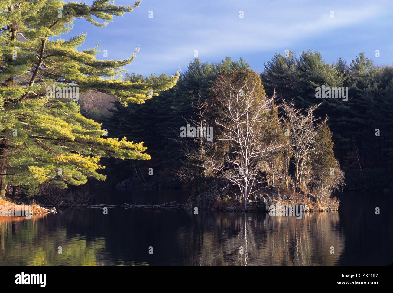 Paysage avec lac et arbres Maine New England United States Banque D'Images
