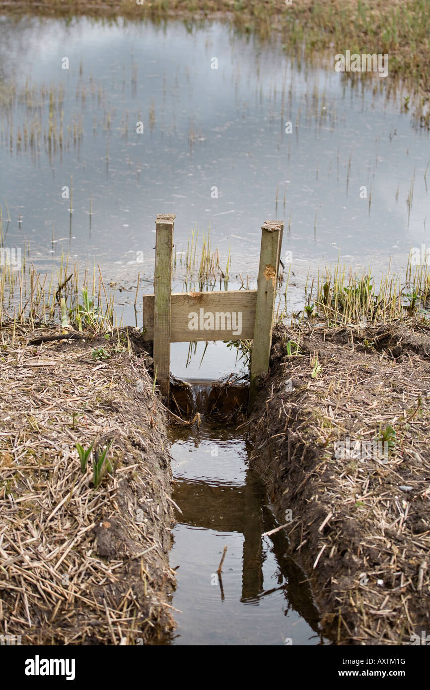 Vanne en contrôlant le niveau d'eau dans des roselières dans Arundel, West Sussex, Angleterre Banque D'Images