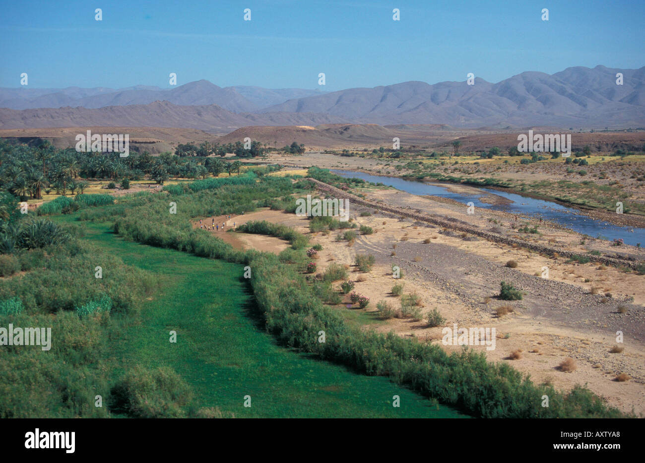 Une vue sur la vallée du Draa montrant une rivière oasis Maroc Banque D'Images