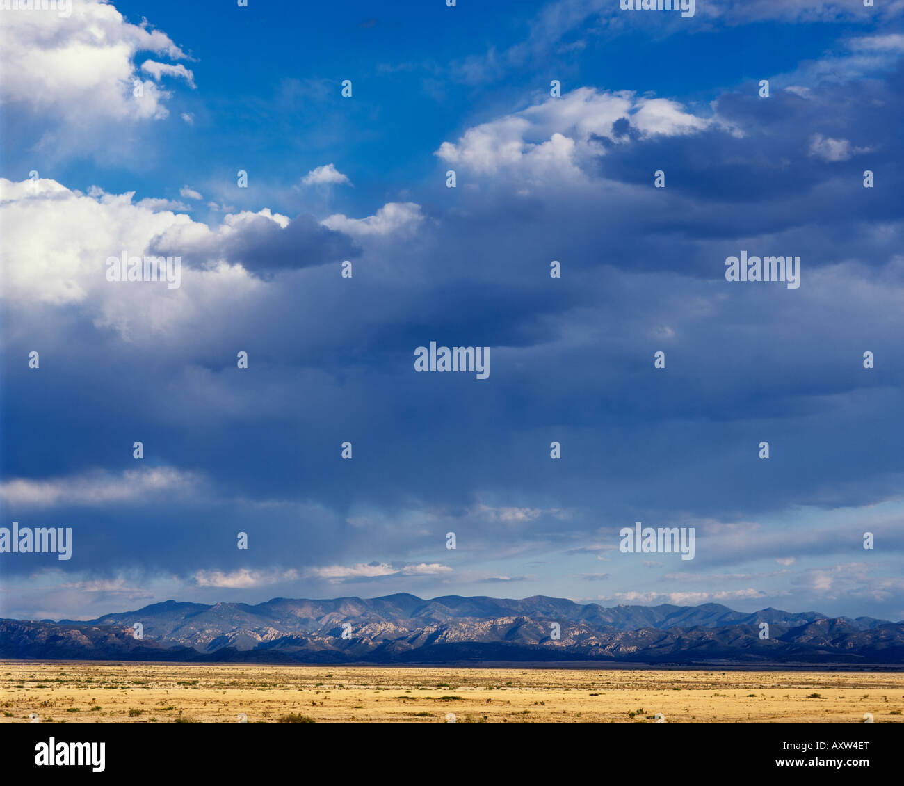 Les nuages de la mousson d'été sur les monts Chiricahua, Banque D'Images