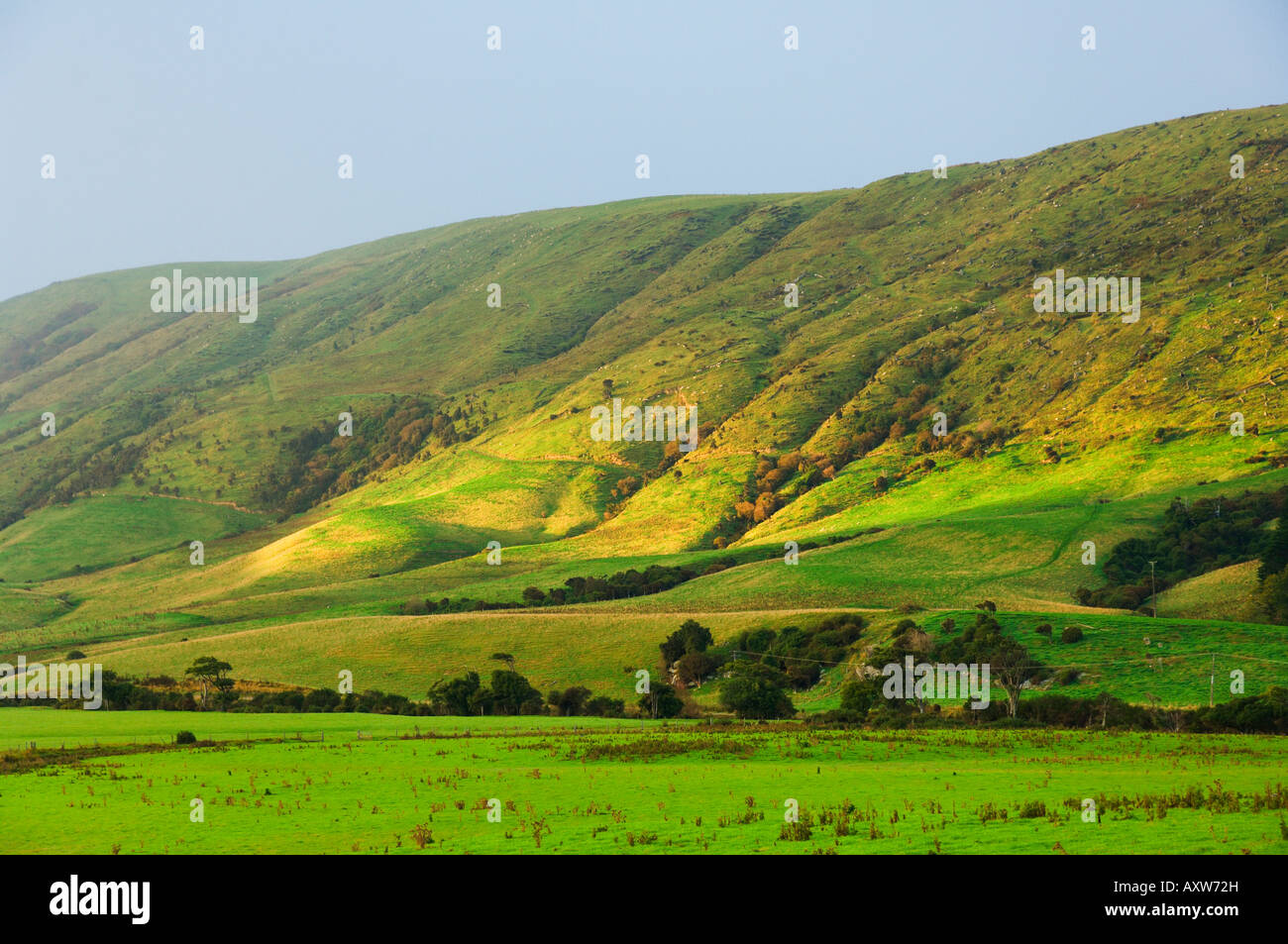 Les pâturages et collines, Southland, île du Sud, Nouvelle-Zélande, Pacifique Banque D'Images
