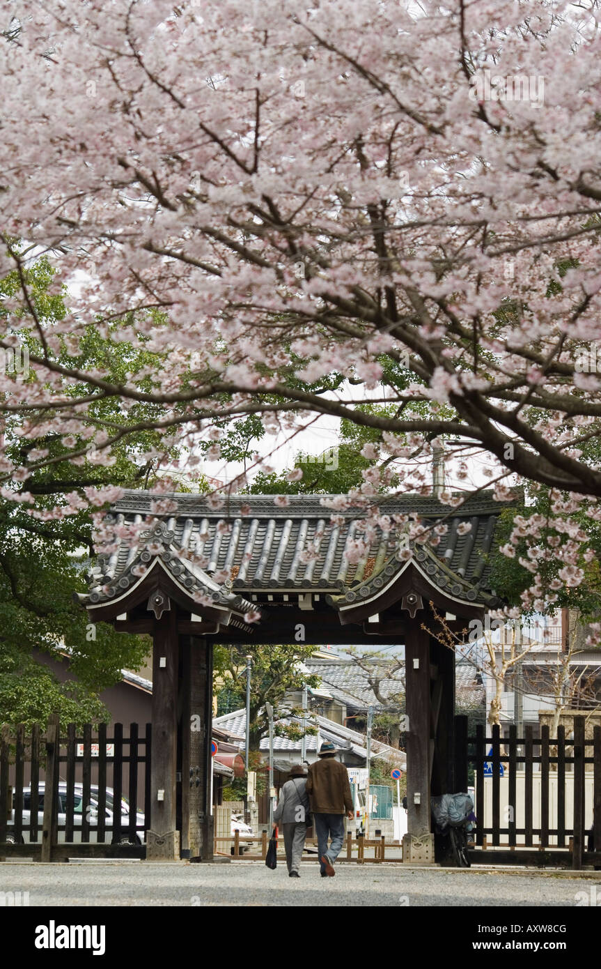 Vieux couple en train de marcher par la porte sous le cerisier en fleurs, Kyoto, Japa, Asie Banque D'Images
