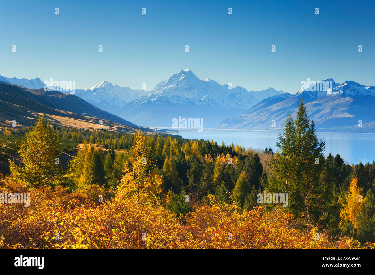 Le lac Pukaki et le Mont Cook, Canterbury, île du Sud, Nouvelle-Zélande, Pacifique Banque D'Images