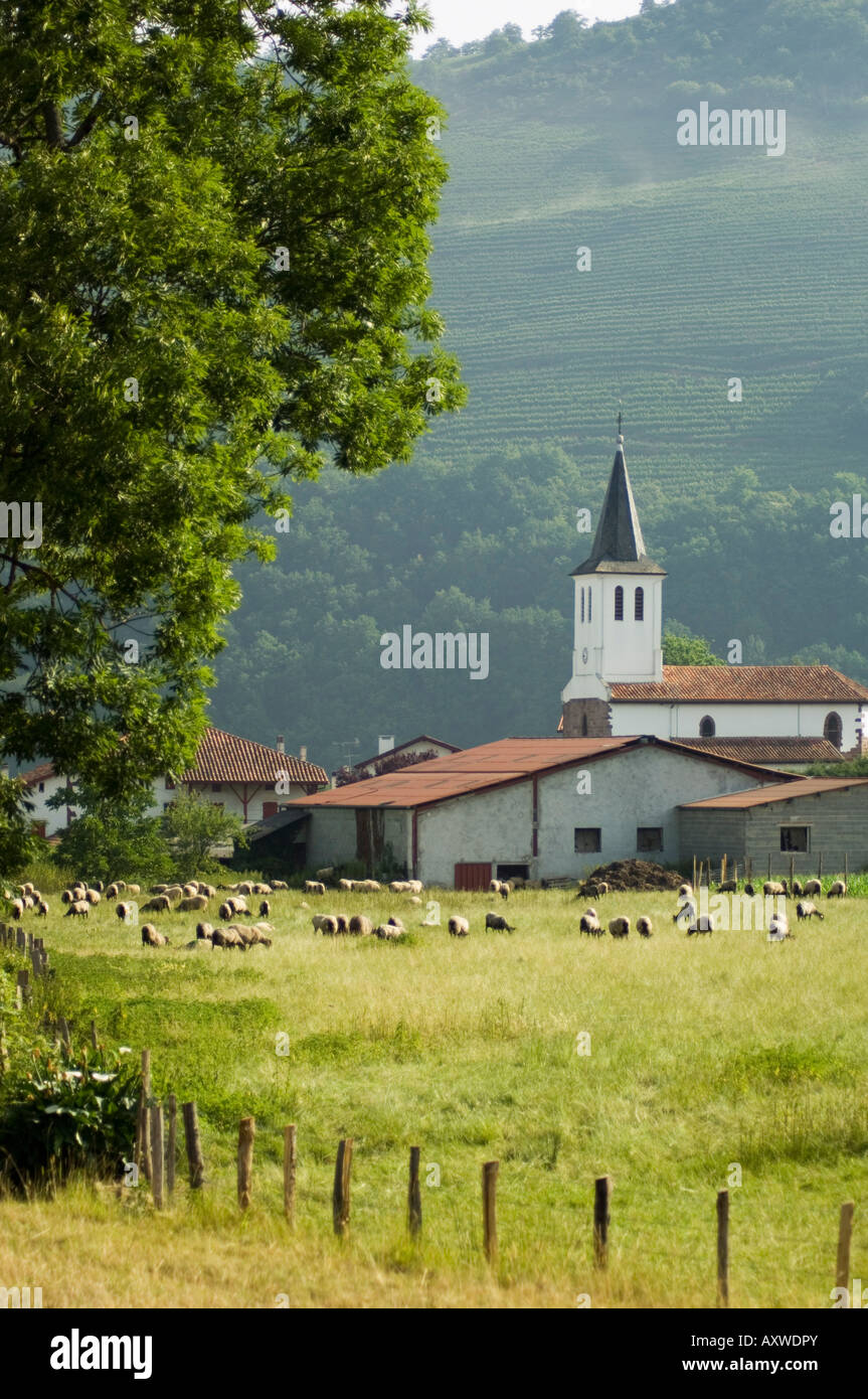 Campagne Près de Saint Jean Pied de Port (St.-Jean-Pied-de-port), pays Basque, Pyrénées-Atlantiques, Aquitaine, France Banque D'Images