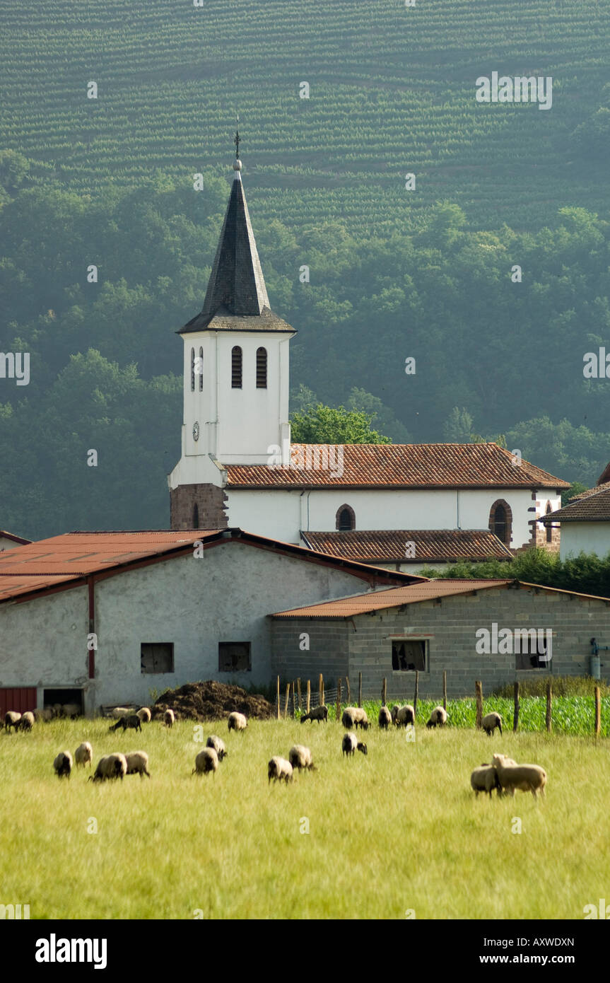 Église de campagne, Pays Basque, Pyrénées-Atlantiques, Aquitaine, France Banque D'Images