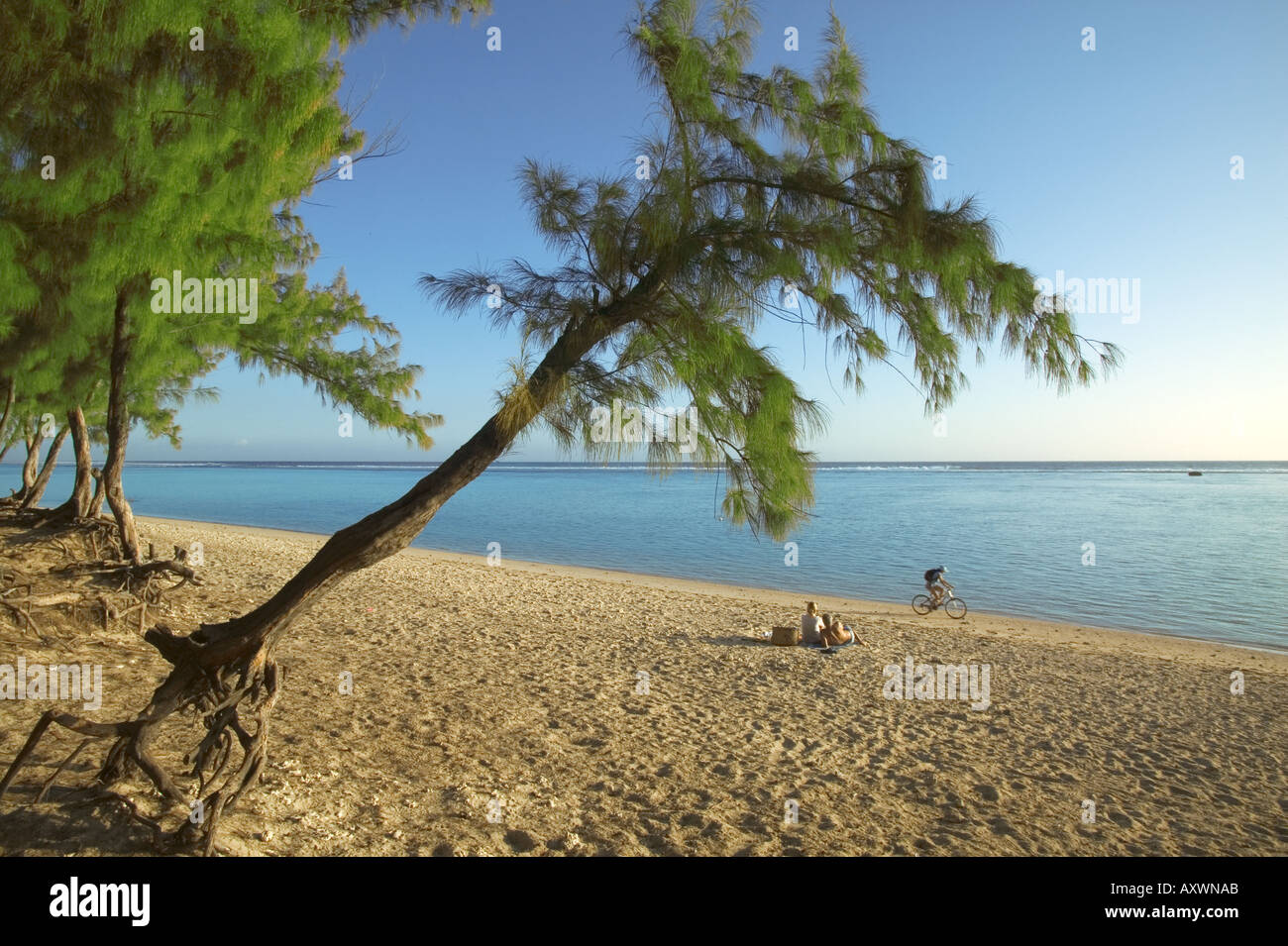 Plage d'Etang Salé à la réunion. Banque D'Images