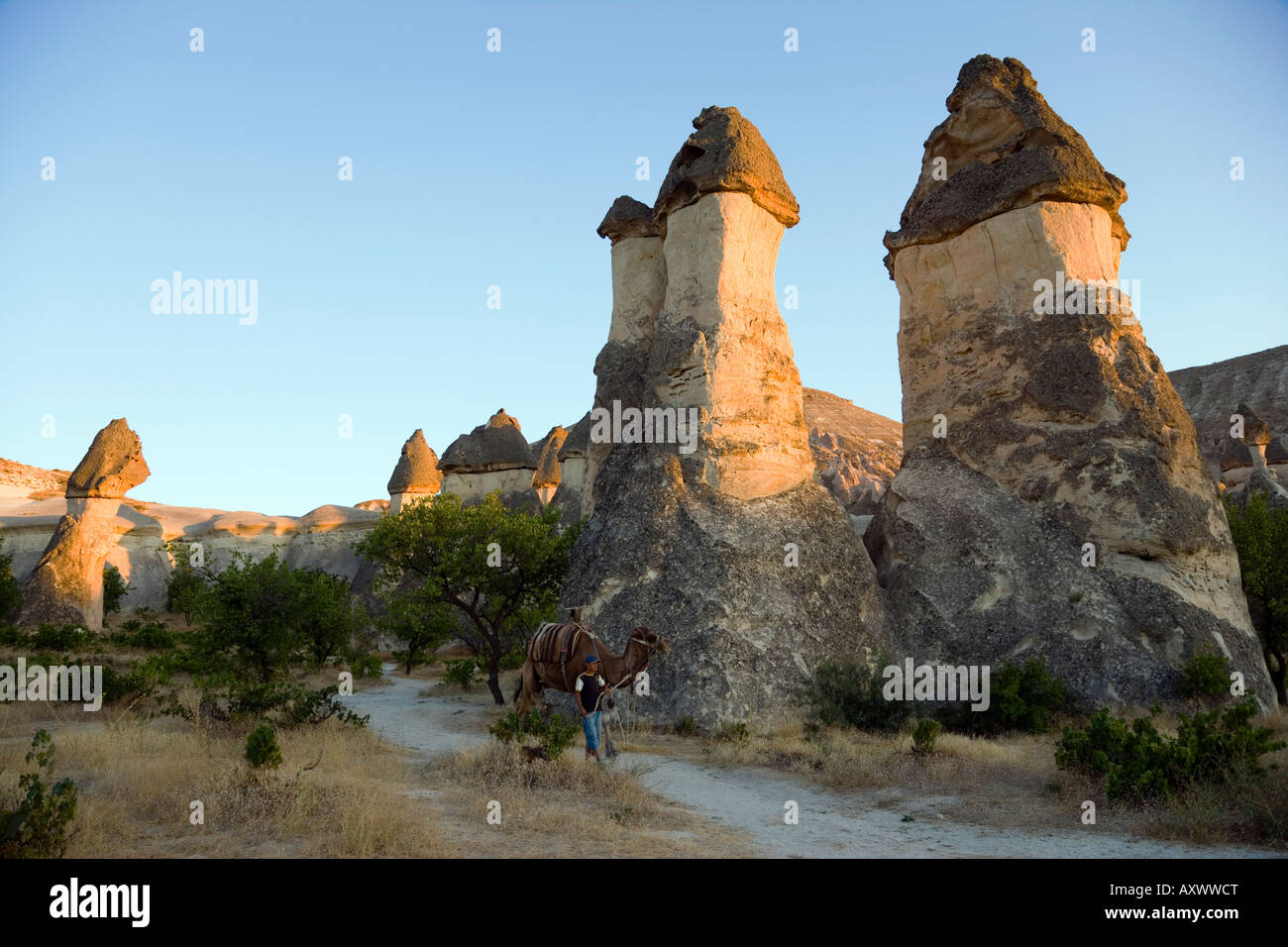 Les cheminées de fée de Pasabag, la vallée de Zelve, Cappadoce, Turquie Banque D'Images