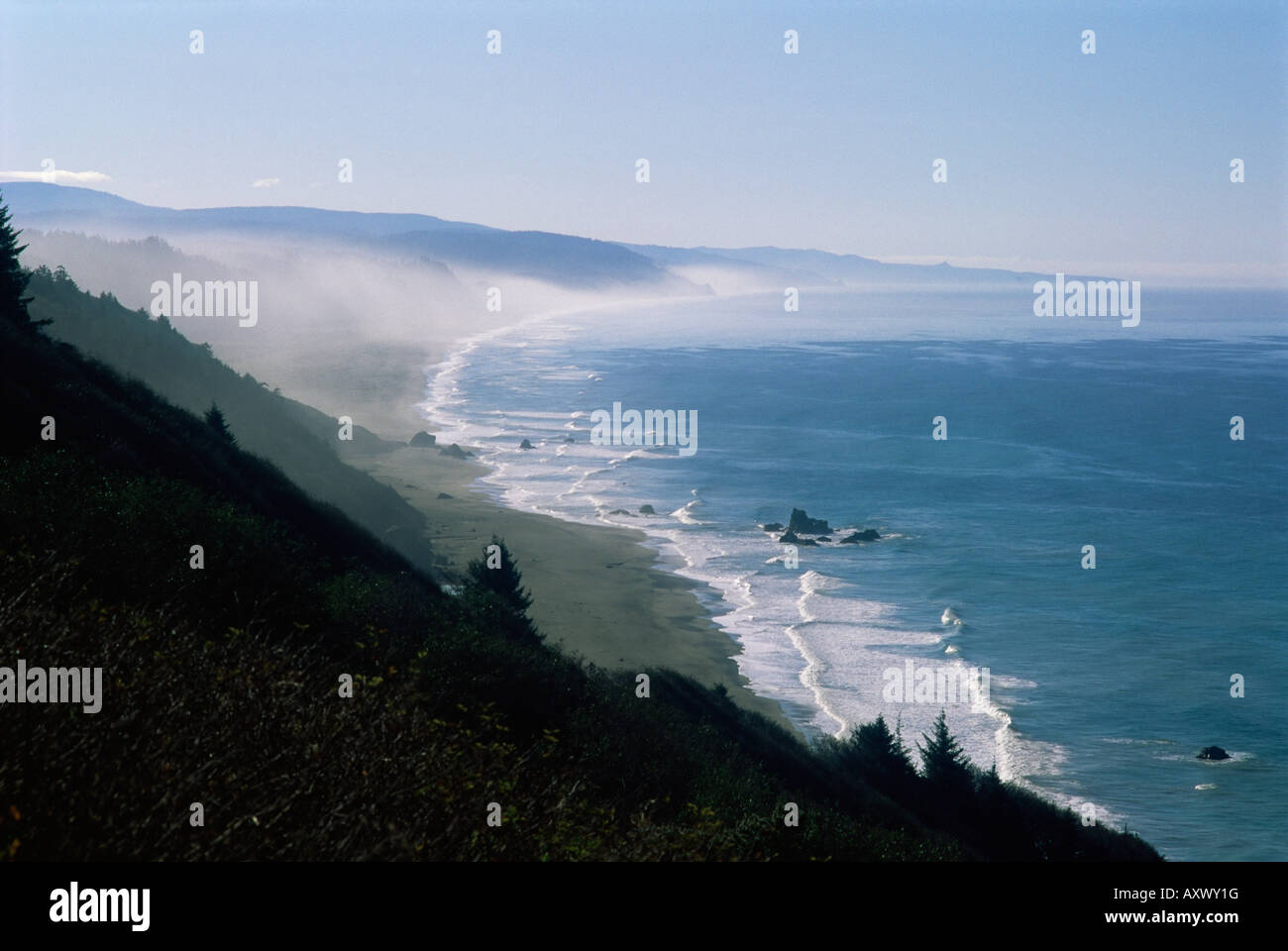 Vue sur l'océan Pacifique, de l'autoroute 101 à Brookings, Oregon, United States of America (États-Unis), en Amérique du Nord Banque D'Images
