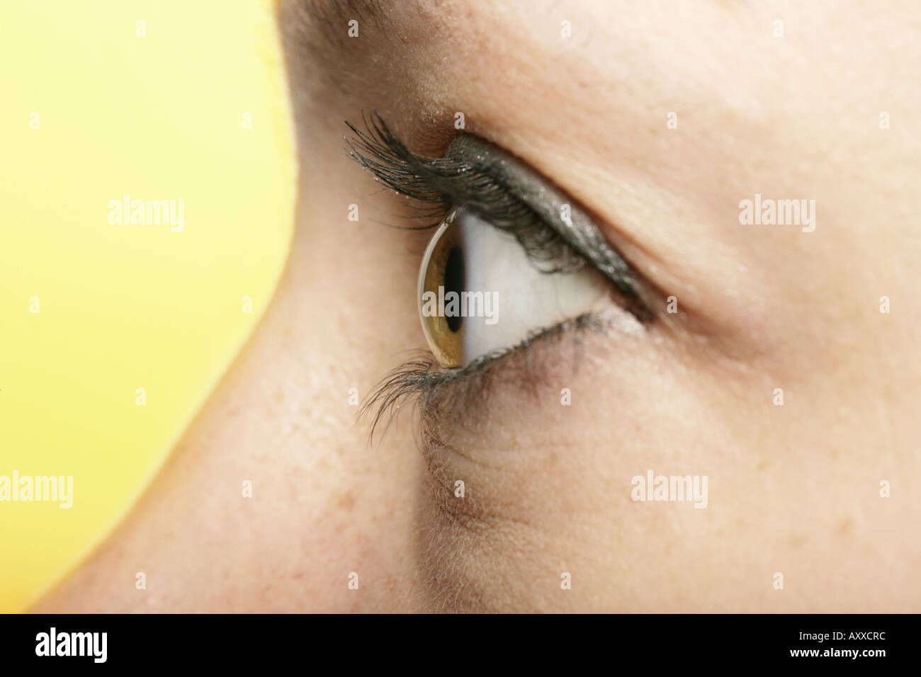Profile close up of a woman's eye. Banque D'Images