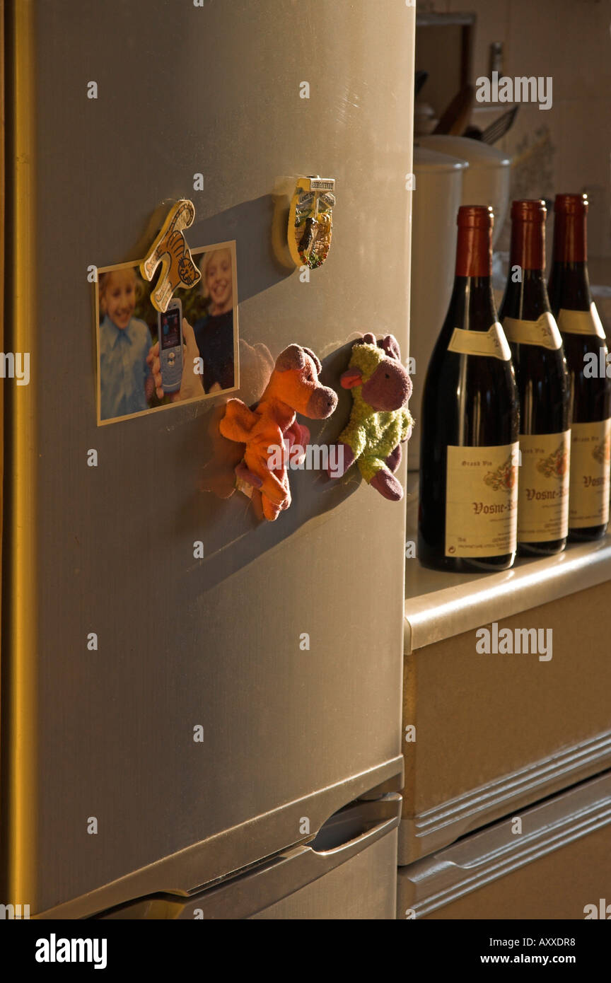 Les bouteilles de vin derrière porte de réfrigérateur Banque D'Images