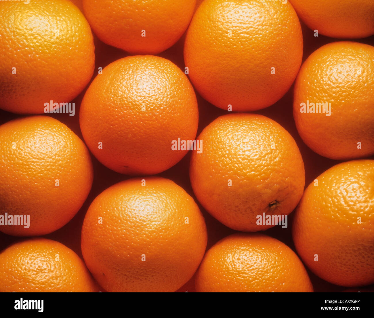 Orange, Citrus sinensis, Citrus sinensis, Orange, Banque D'Images
