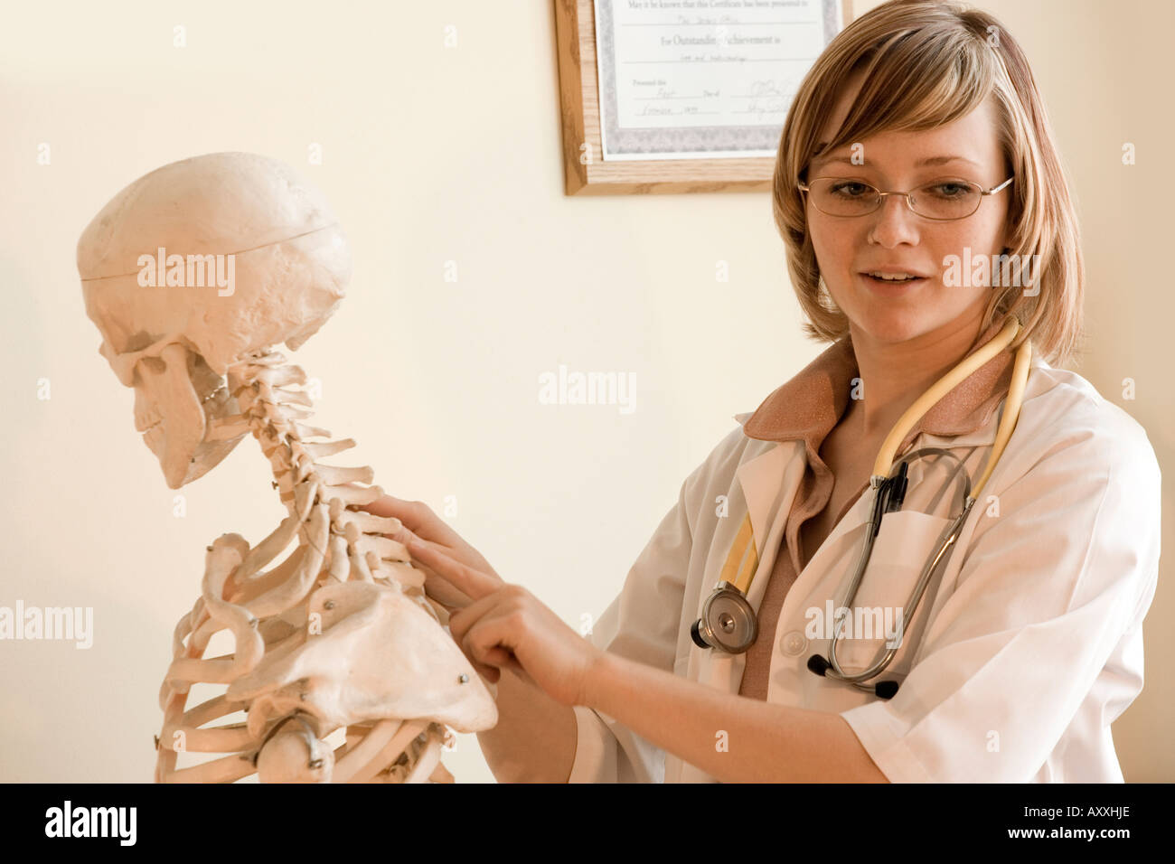 Les chiropraticien utilise un squelette d'enseigner un patient au sujet de la colonne vertébrale et la structure osseuse. Banque D'Images