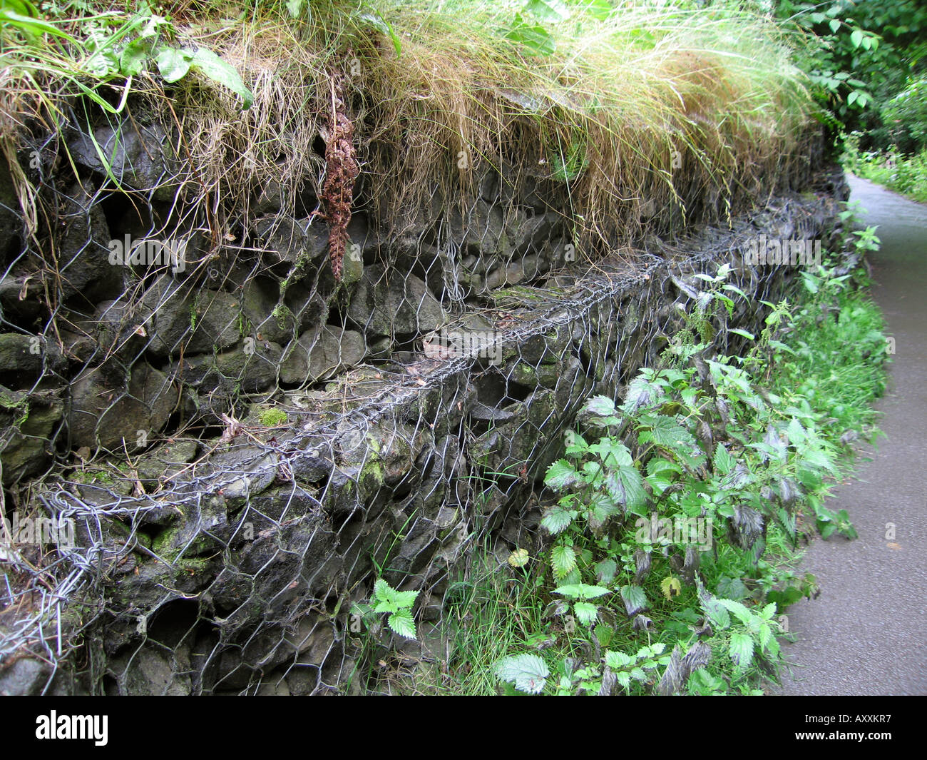 Mur de soutènement en gabions sur sentier Banque D'Images