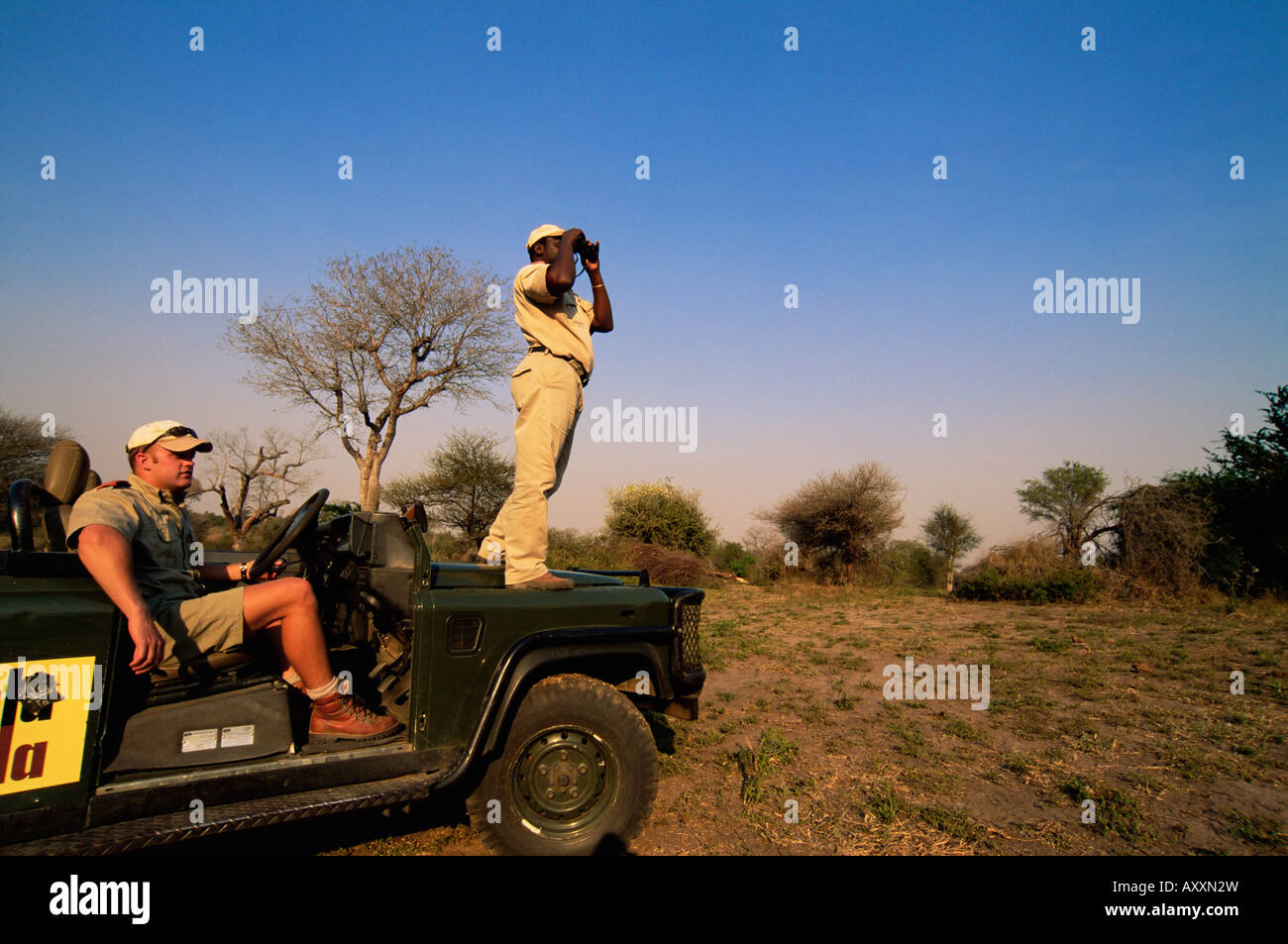 À la recherche de la faune, Mala Mala Game Reserve, Sabi Sand Park, Afrique du Sud, l'Afrique Banque D'Images
