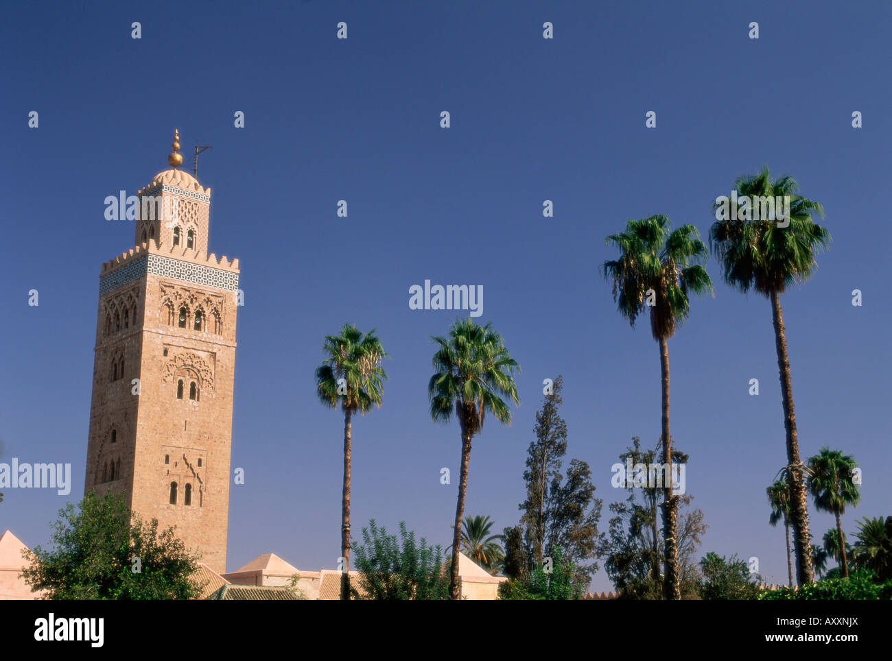 Minaret de la Koutoubia, Marrakech (Marrakech), Maroc, Afrique du Nord, Afrique Banque D'Images