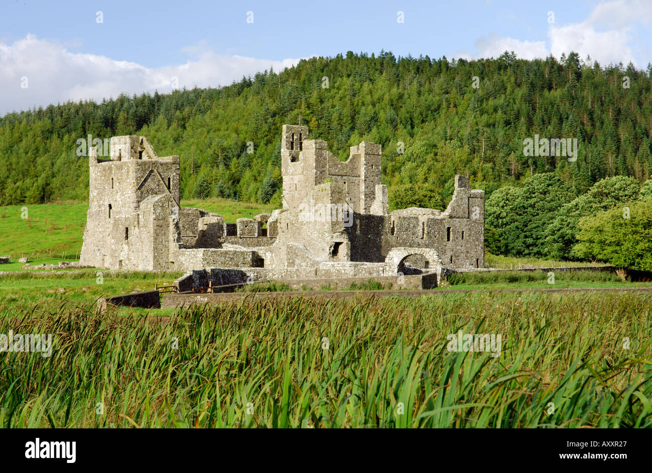 Abbaye de Fore, comté de Westmeath, Irlande. Monastère bénédictin. La fondation religieuse par saint Feichin remonte à environ 630 AP. Banque D'Images