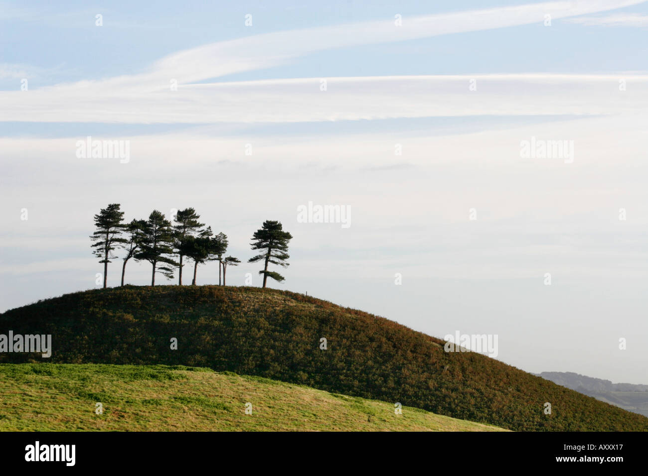 Vue vers Colmers Hill Bridport Dorset de Quarry Hill Banque D'Images