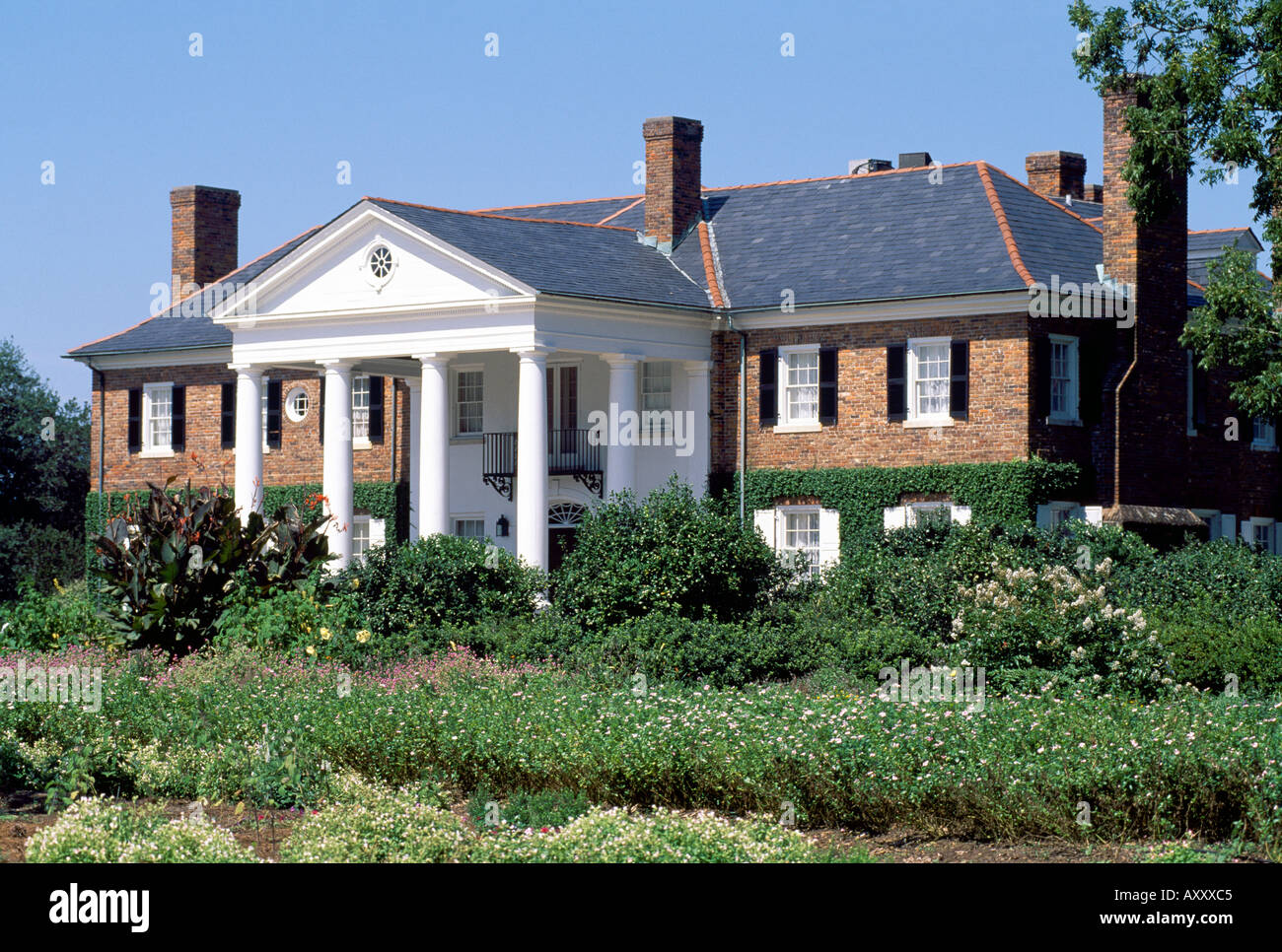 Charleston, Boone Hall Plantation, Totale Banque D'Images