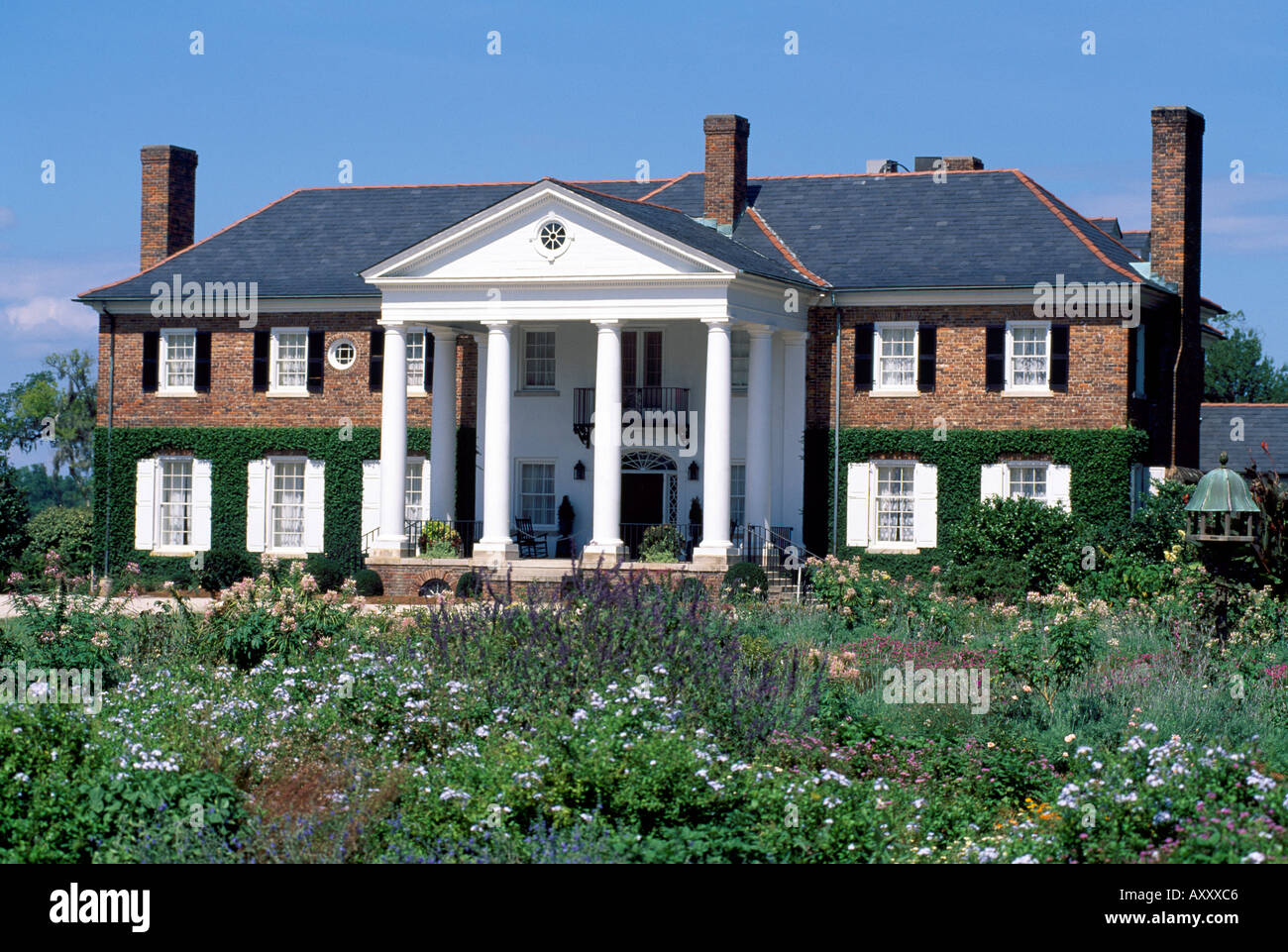 Charleston, Boone Hall Plantation, Totale Banque D'Images