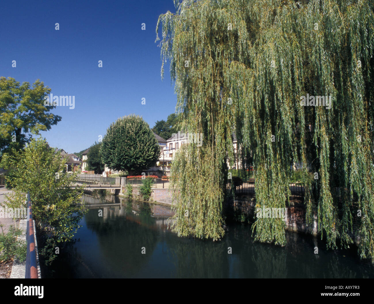 Montfort sur Risle - Normandie - France willow tree le long de la rivière Banque D'Images