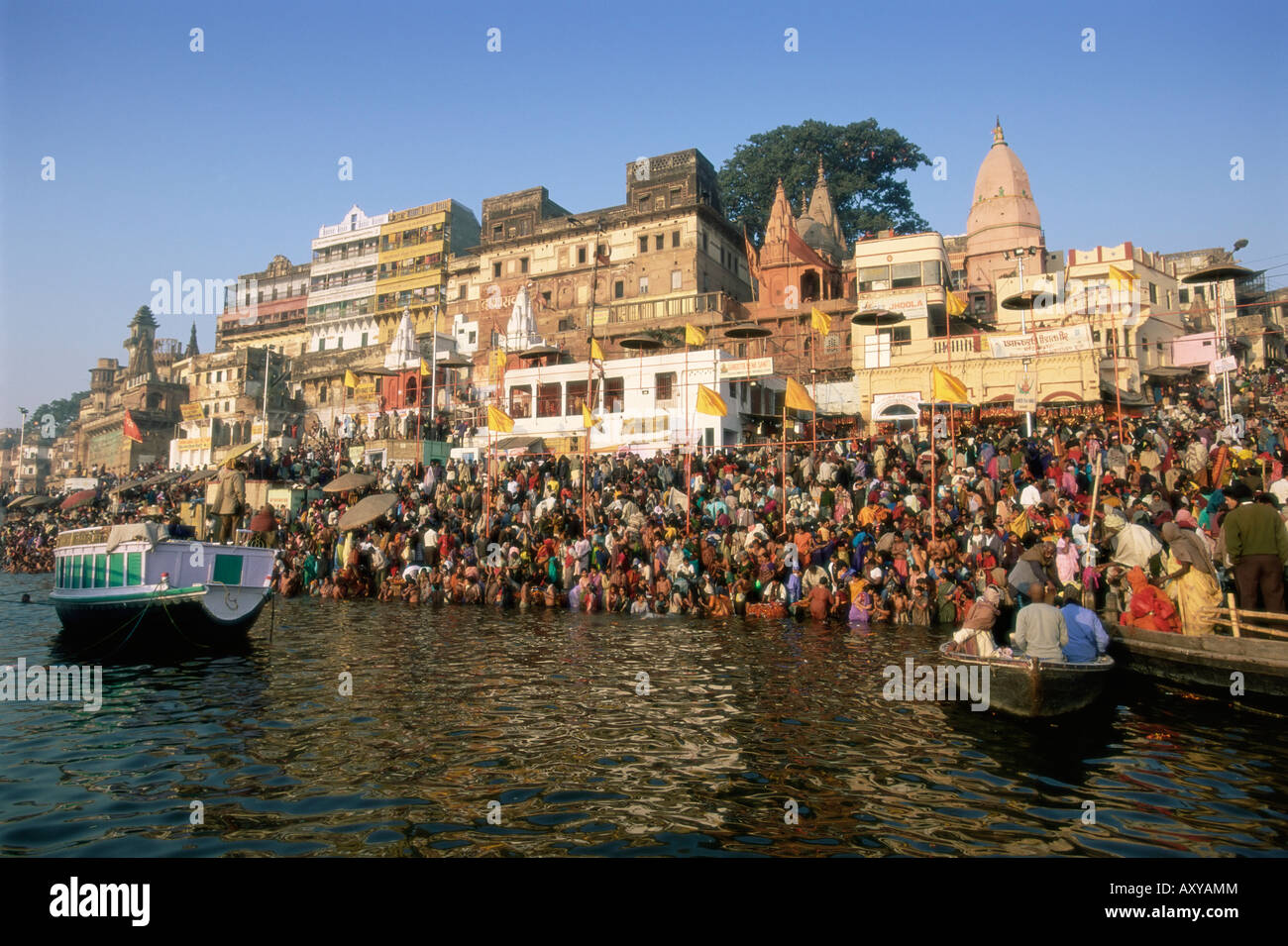 Pèlerins hindous echelle tôt le matin dans le fleuve saint Ganges, Varanasi, Uttar Pradesh, Inde Banque D'Images
