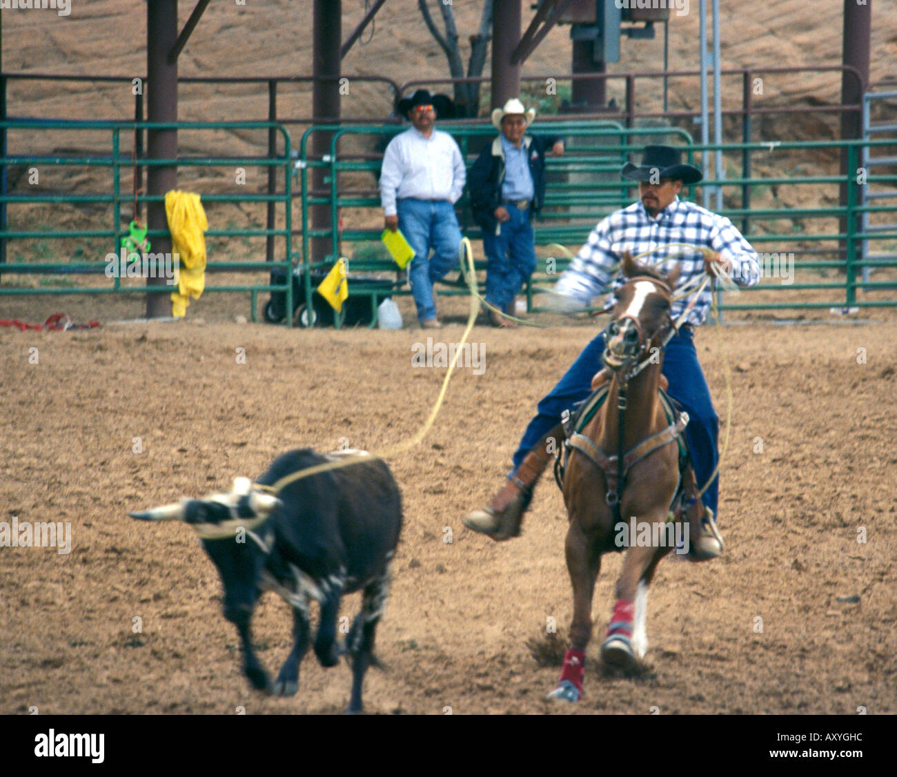 Gallup - Nouveau Mexique - USA - 85e festival inter-tribale cavalier de rodéo lasso un veau Banque D'Images