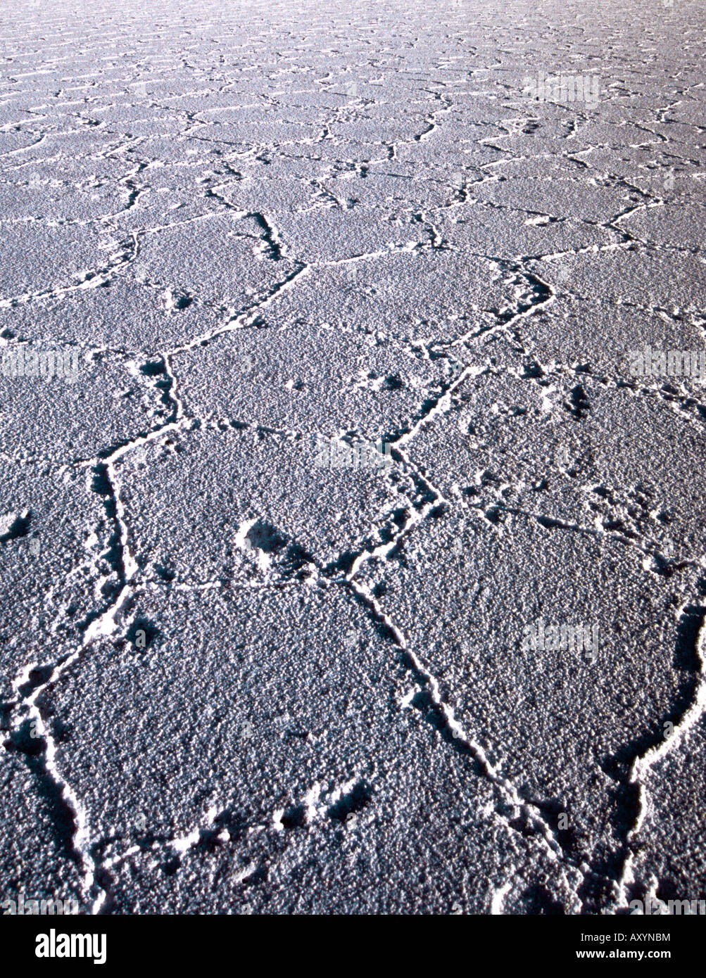Surface du sol salé dans Salinas Grandes, volet sel Puna argentine Banque D'Images