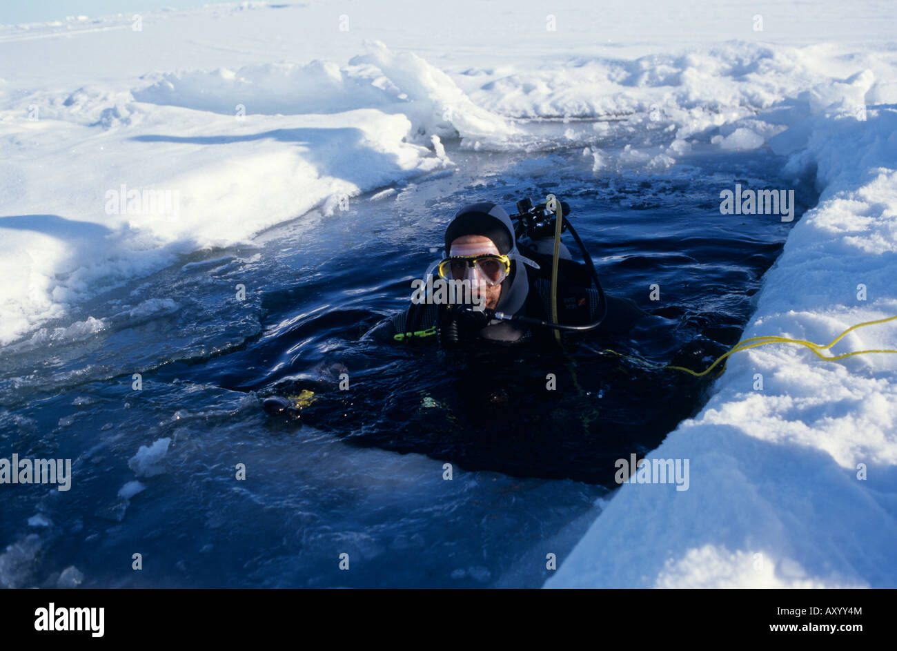 Diver prêt à plonger sous la glace de mer de l'Arctique dans le détroit de Lancaster Banque D'Images