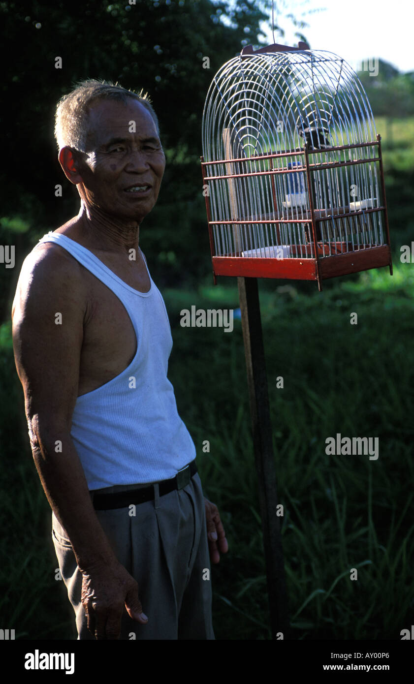 Paramaribo un homme mettant ses oiseaux chanteurs en dehors le matin Banque D'Images