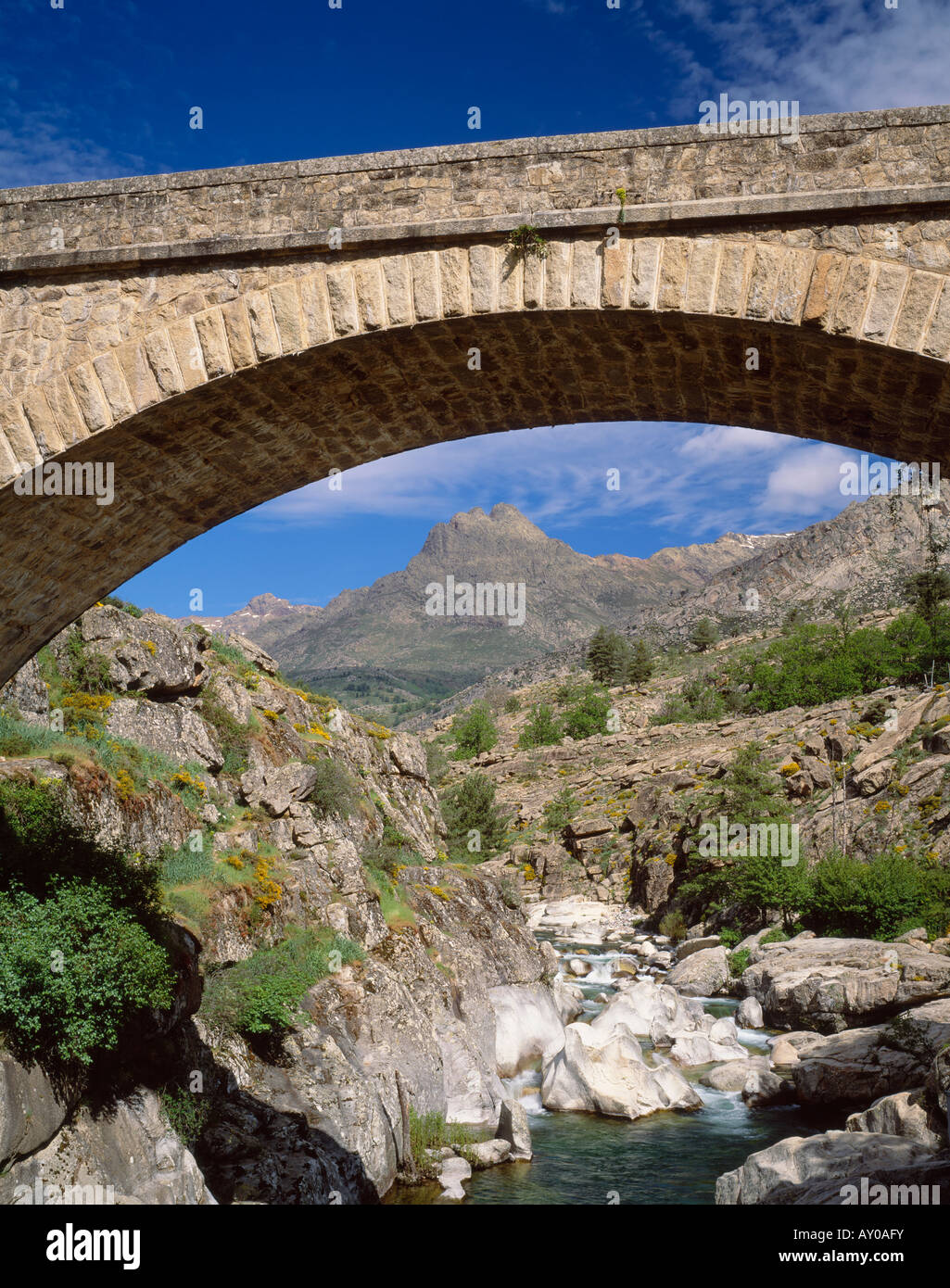 La licence d'un pont sur la rivière Golo, aux alentours de Albertacce, le Niolo, Haute Corse, Corse, France. Banque D'Images