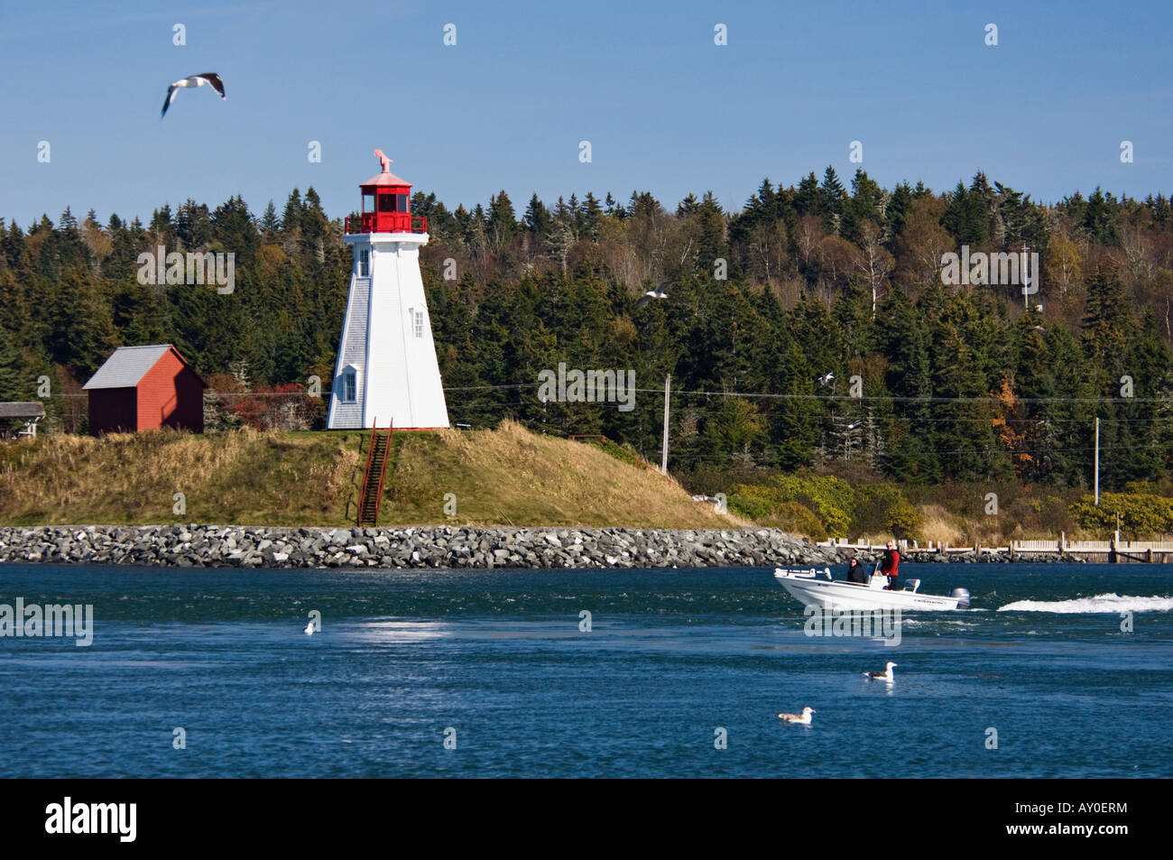 Petit bateau de pêche qui Muhholland Point Lighthouse sur la baie Passamaquoddy Nouveau-Brunswick Canada Banque D'Images