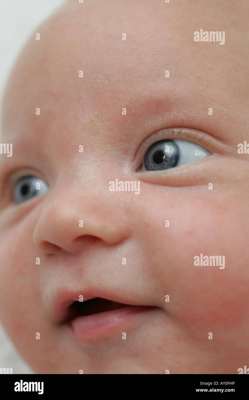 Bebes Ages De 8 Semaines Photo Stock Alamy