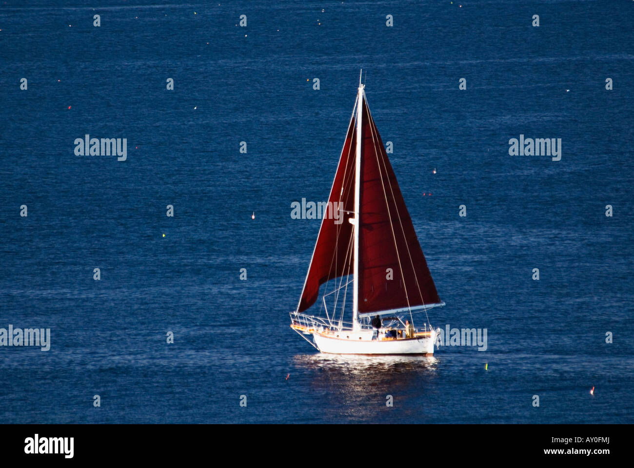 Bateau naviguant dans la baie de Penobscot Comté de Knox Maine Banque D'Images