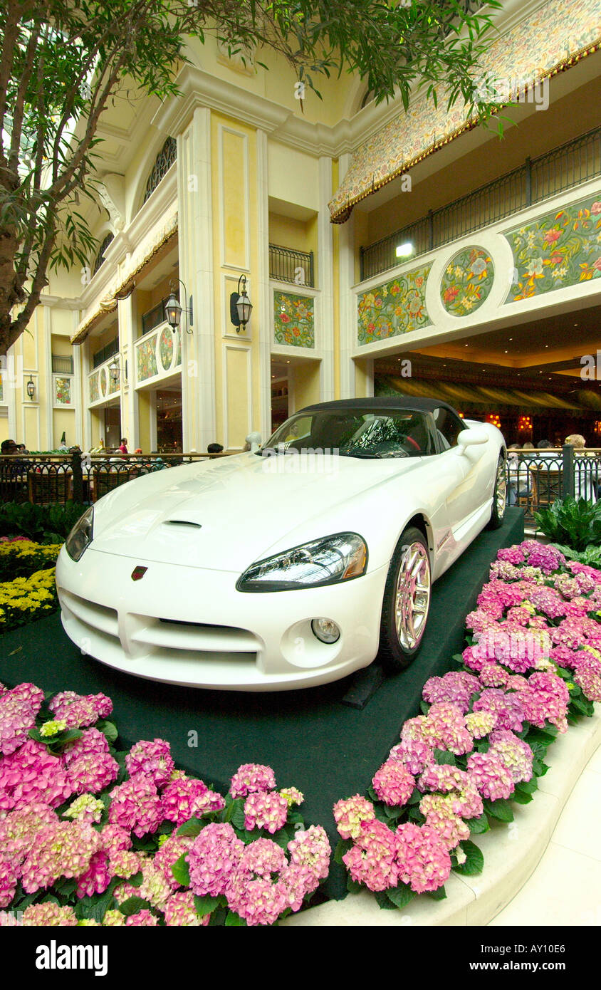 Une Corvette blanche voiture GM à l'affiche au Casino Beau Rivage de Biloxi, Mississippi USA Banque D'Images