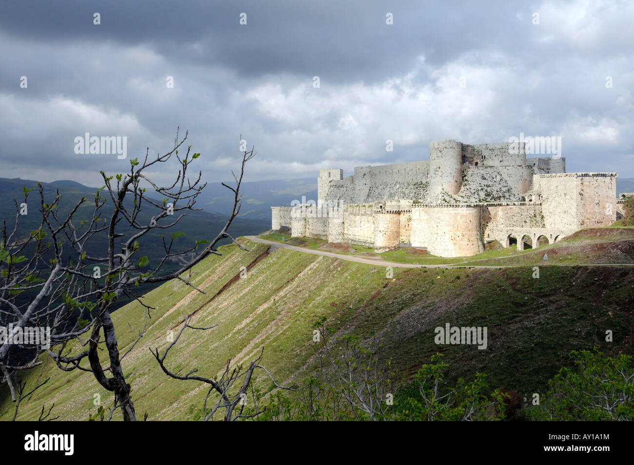 Ce château médiéval utilisé par les croisés, le "Krak des Chevaliers", est un monument historique et touristique dans la région de Hosn, Syrie Banque D'Images
