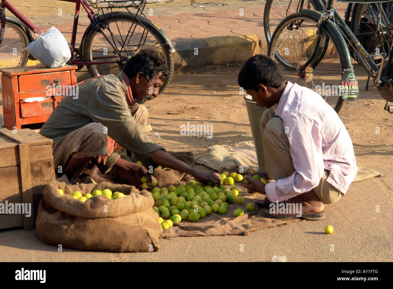 Le tri des fruits pour la vente à l'devaraja marché de fruits et légumes à Mysore Banque D'Images