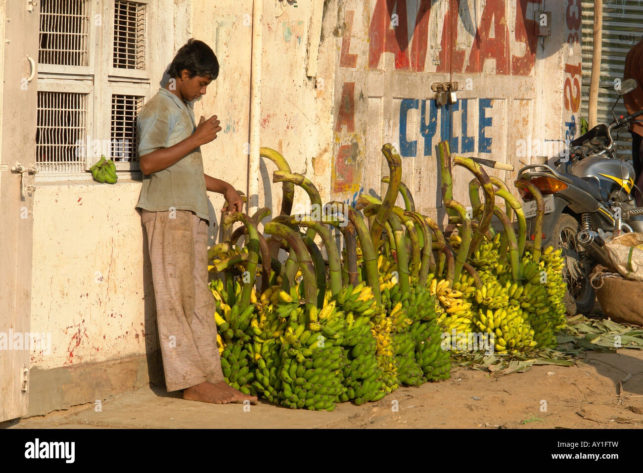 Garçon avec des bananes à l'devaraja marché de fruits et légumes à Mysore Banque D'Images