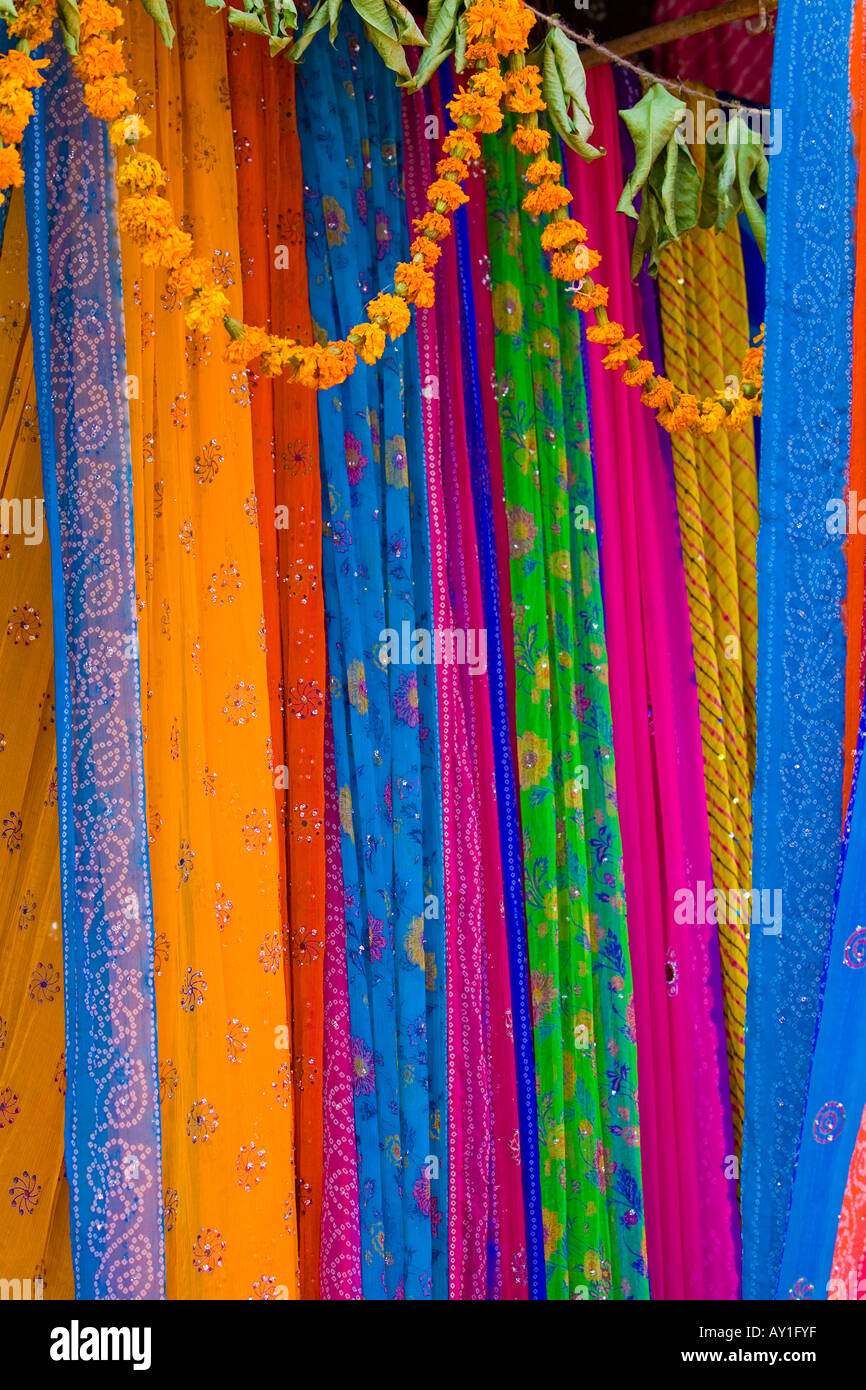 Les couleurs vives du Rajasthan - Inde Banque D'Images