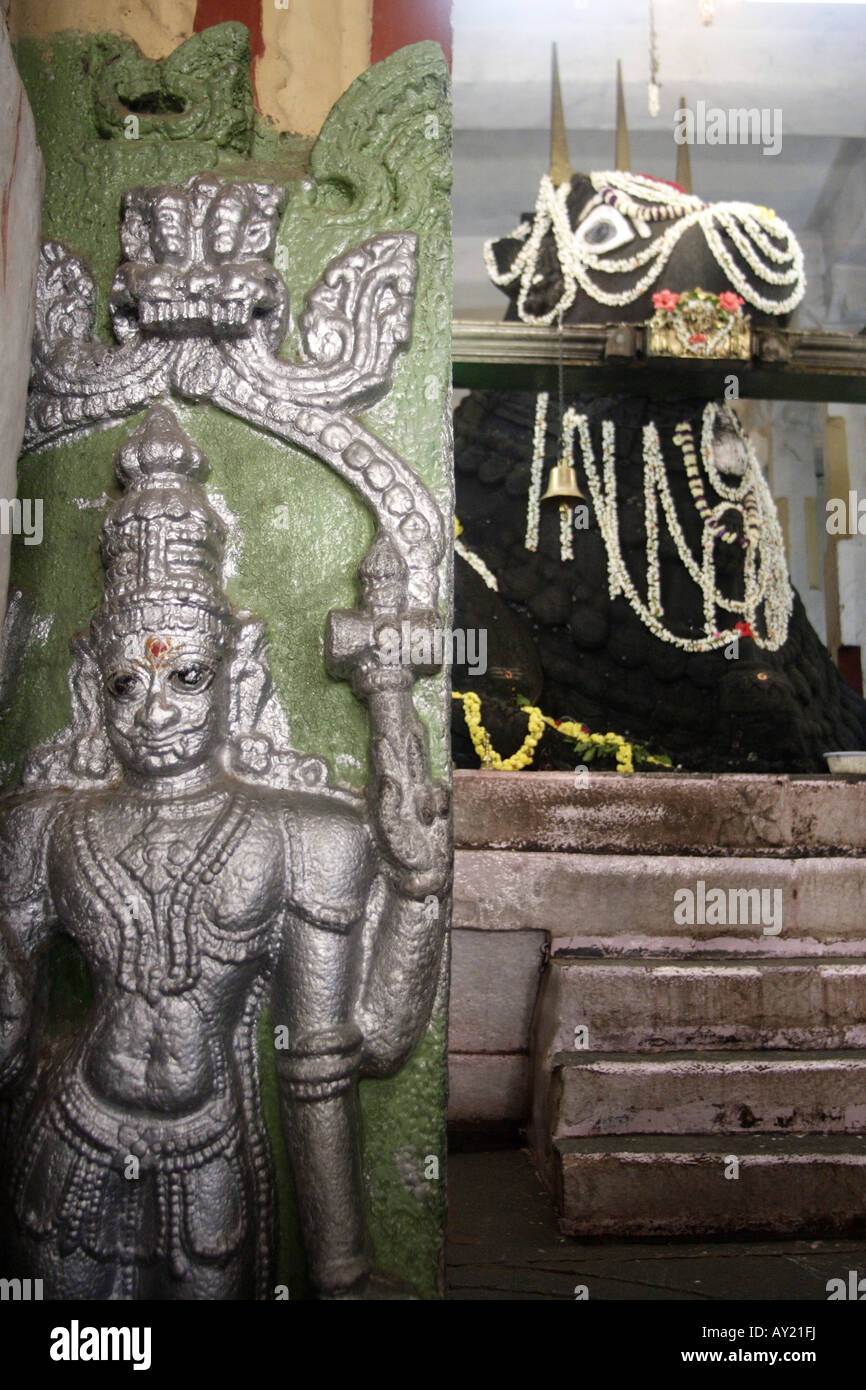 Le Bull Temple dans le quartier Basavanagudi de Bangalore. Le taureau Nandi est le véhicule de Shiva. Banque D'Images