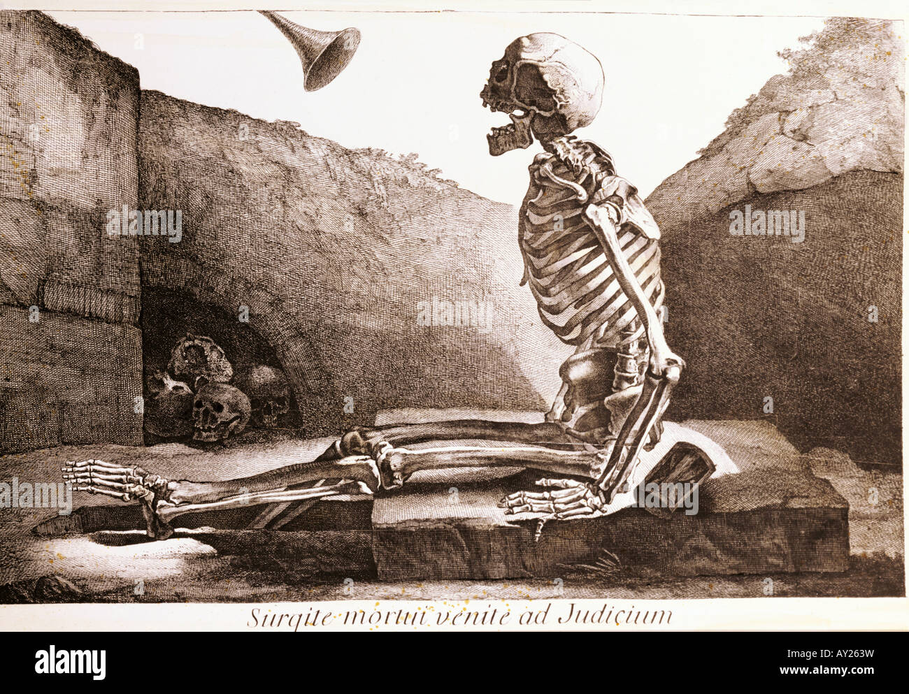 La médecine, l'anatomie, squelette assis dans une tombe, gravure sur cuivre par J. Wandelaar, Tabulae anatomicae musculorum hominis '' par Bernhard Siegfried Albinus, Leiden, 1742, , n'a pas d'auteur de l'artiste pour être effacé Banque D'Images