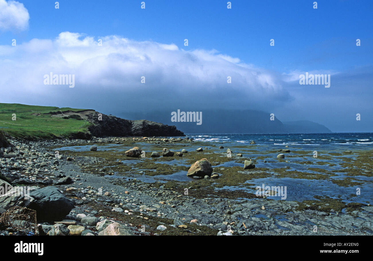 Paysage côtier avec vue sur la mer et les falaises d'Hawke's Bay à Terre-Neuve Banque D'Images