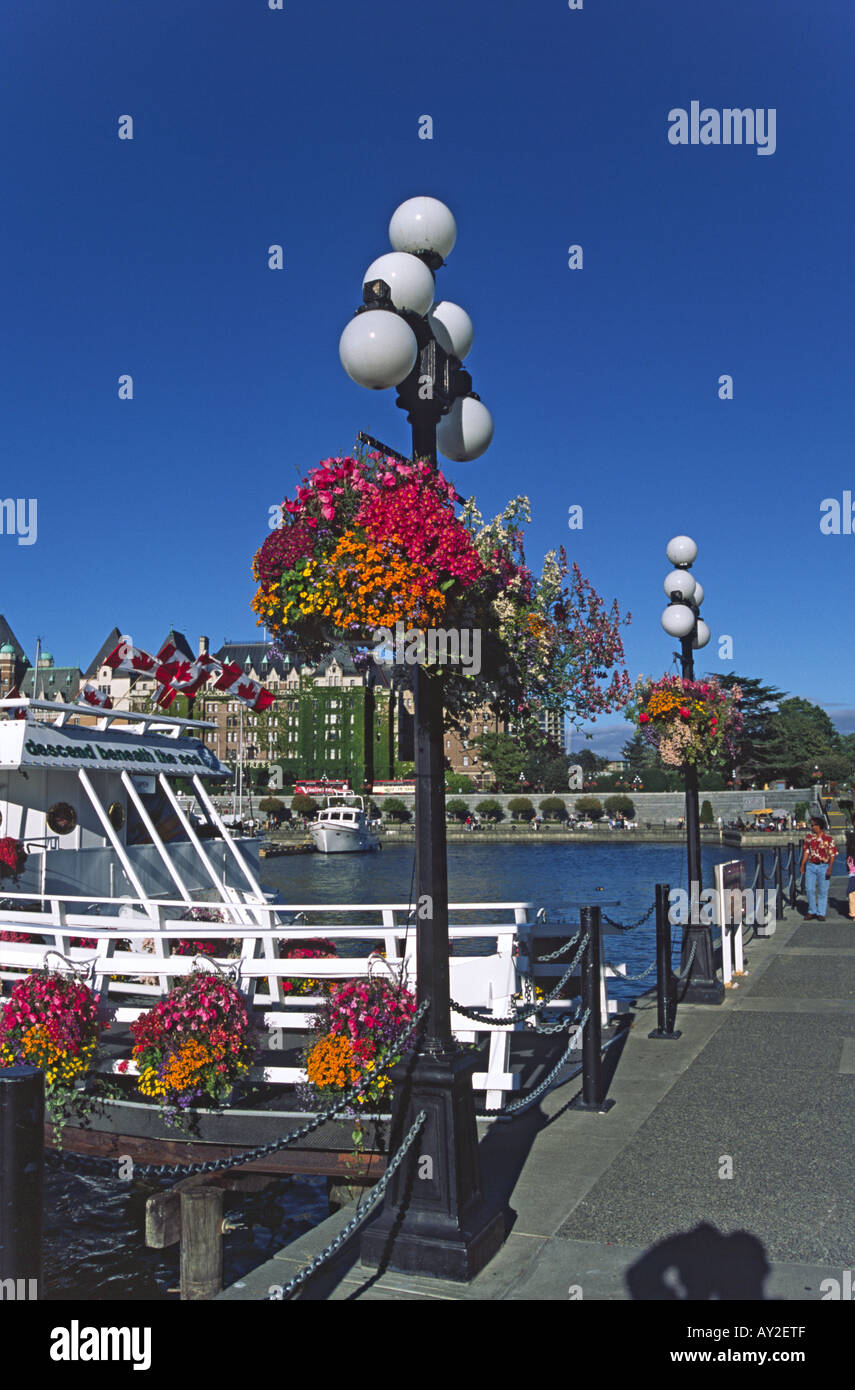 Le front de mer à Victoria (Colombie-Britannique), montrant l'impressionnante de fleurs. Banque D'Images