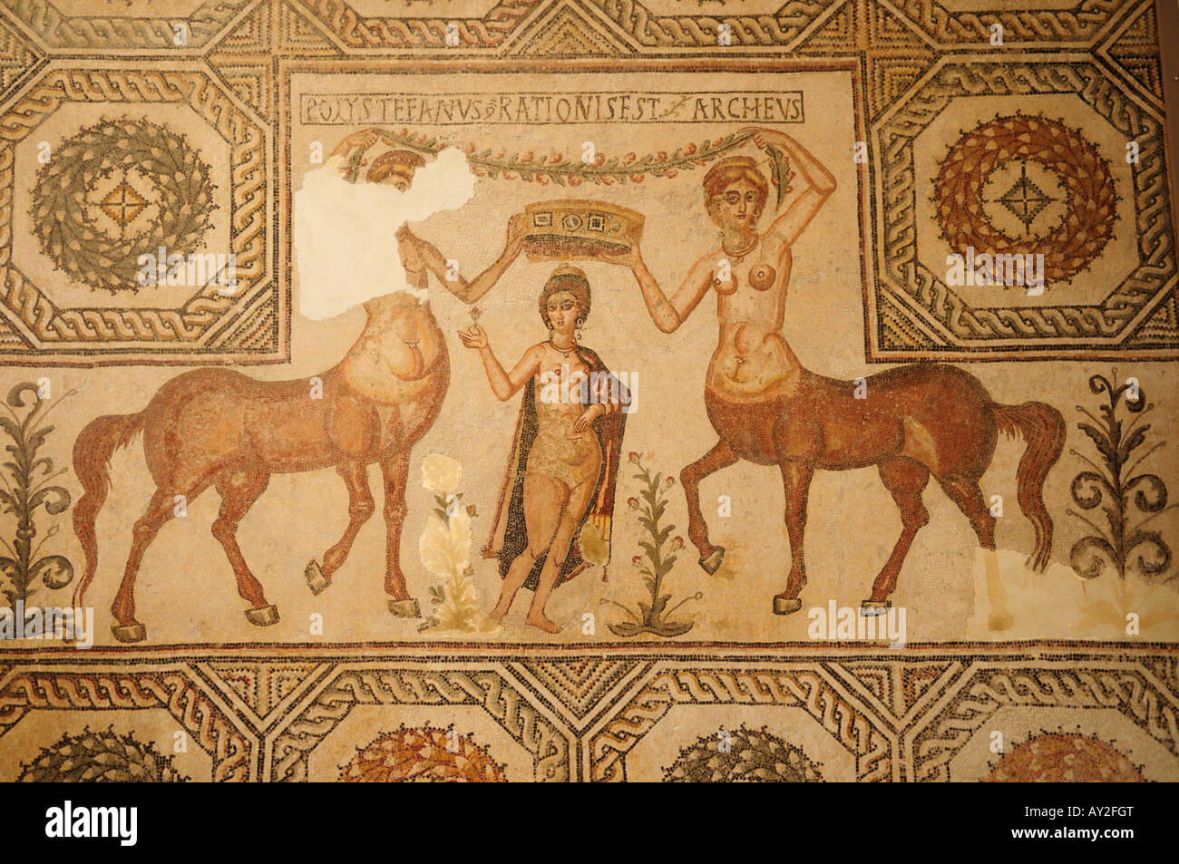 Mosaïque de Vénus et Centauresses, Musée du Bardo Tunis Tunisie Banque D'Images