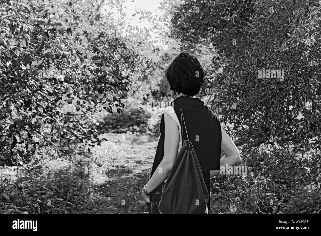 Femme se promenant au jardin avec des oliviers Sicile Italie Banque D'Images